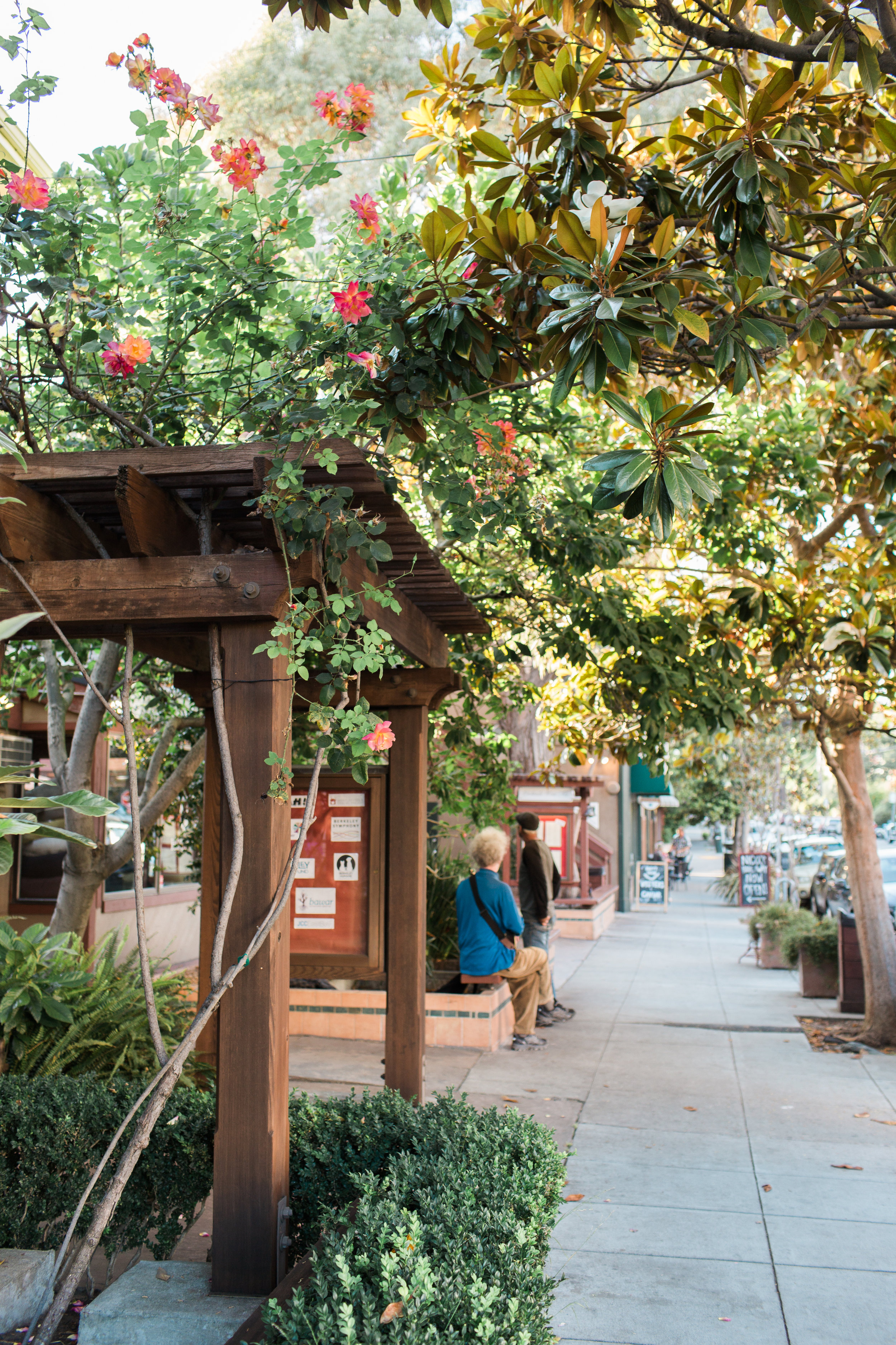 Wanderlust California: Berkeley