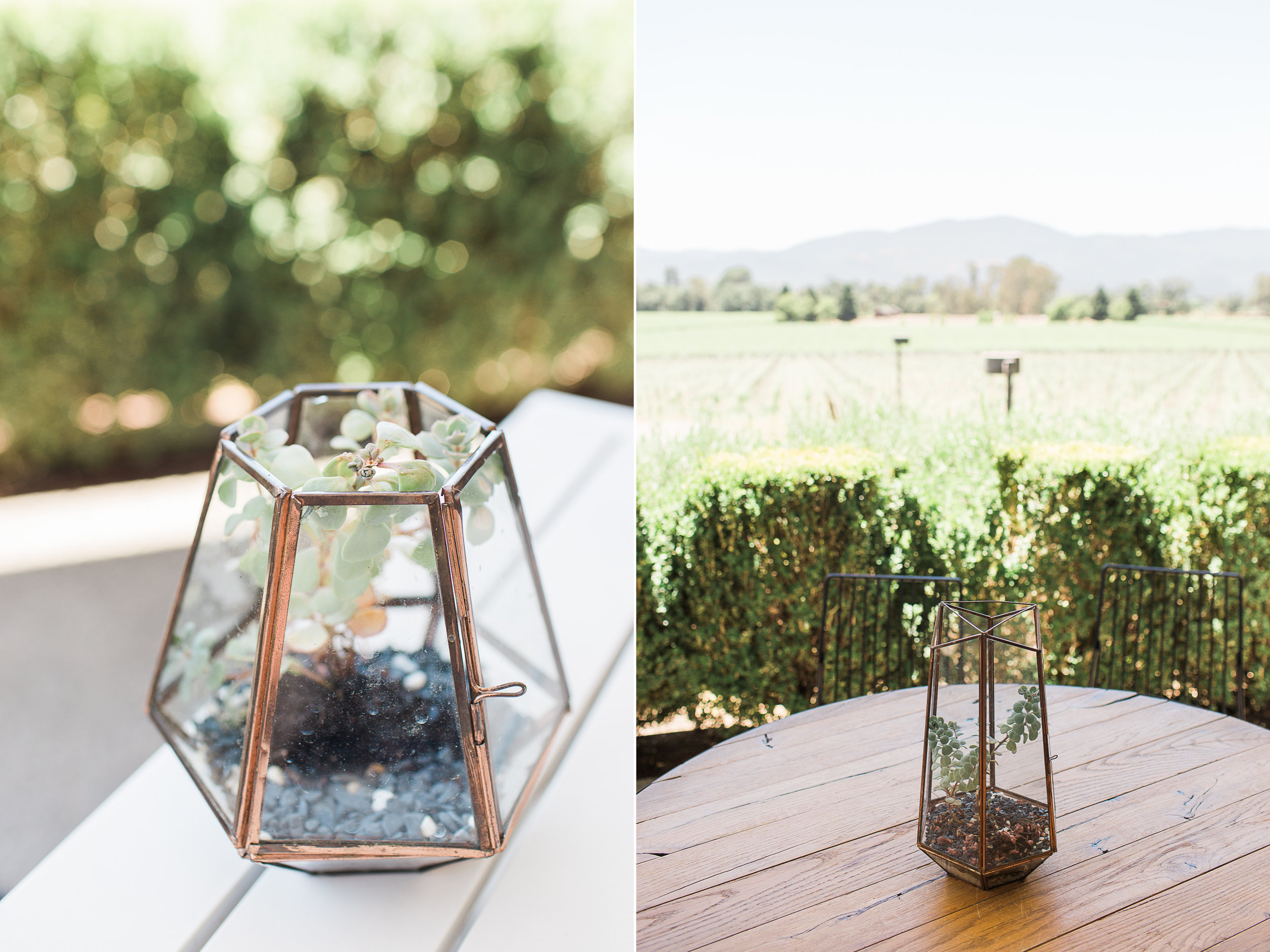 Wanderlust California: Napa Valley Mumm Vineyard