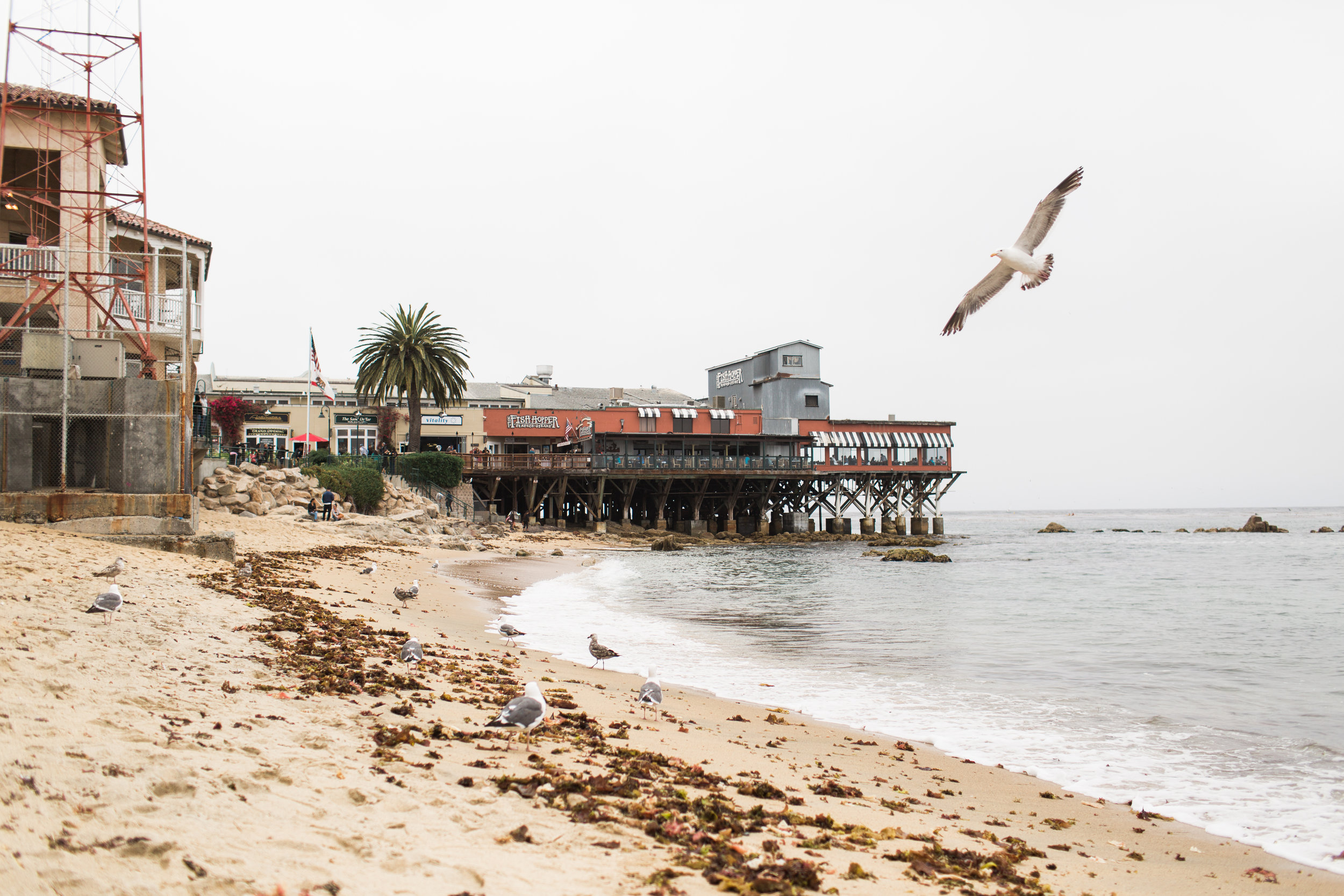 California-80.jpg