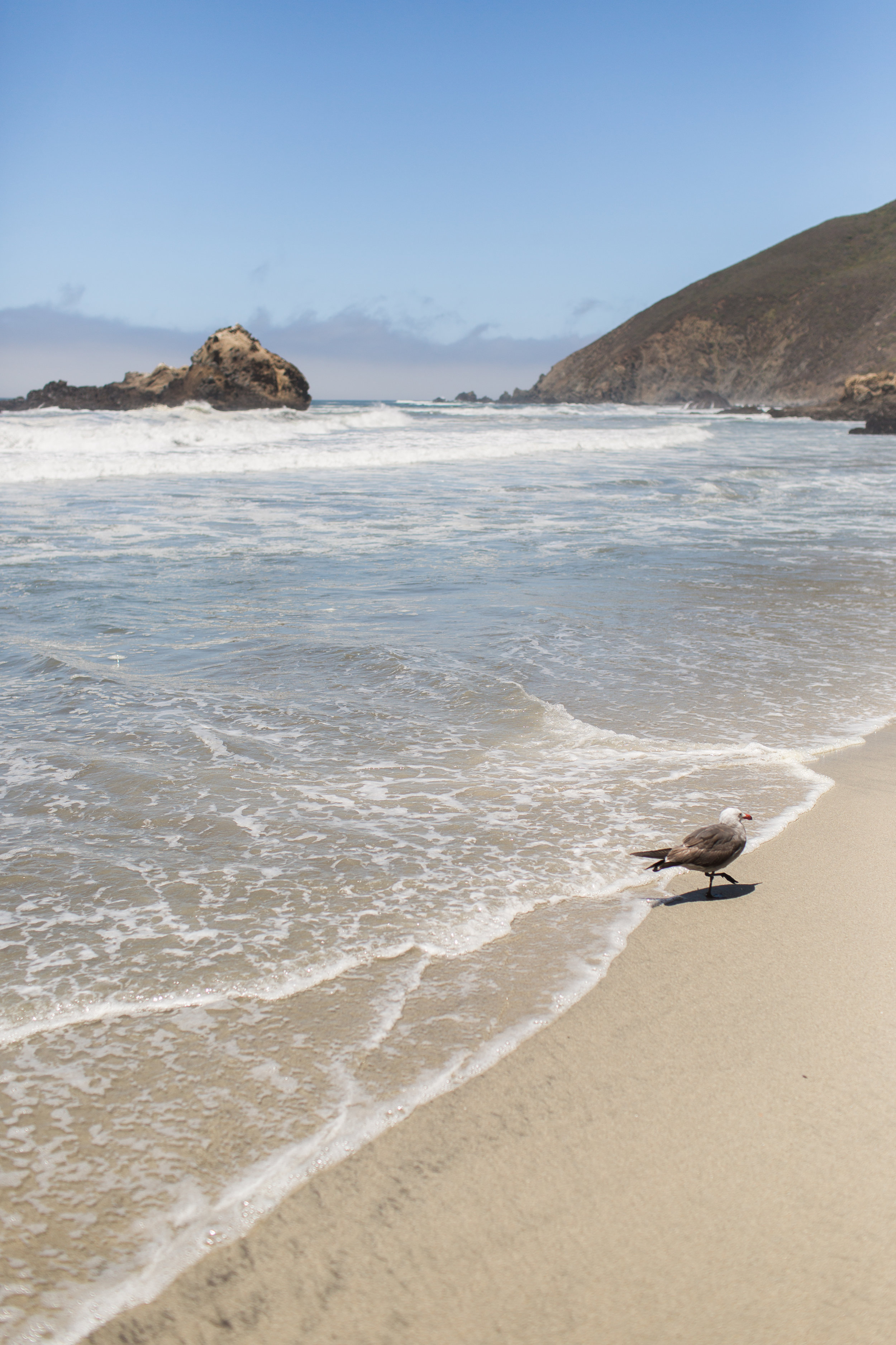 California-107.jpg