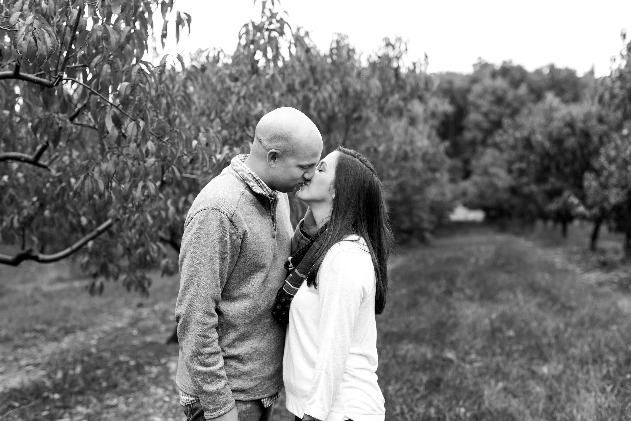 Ward's Berry Farm Fall Engagement Session | Boston Engagement Photographer
