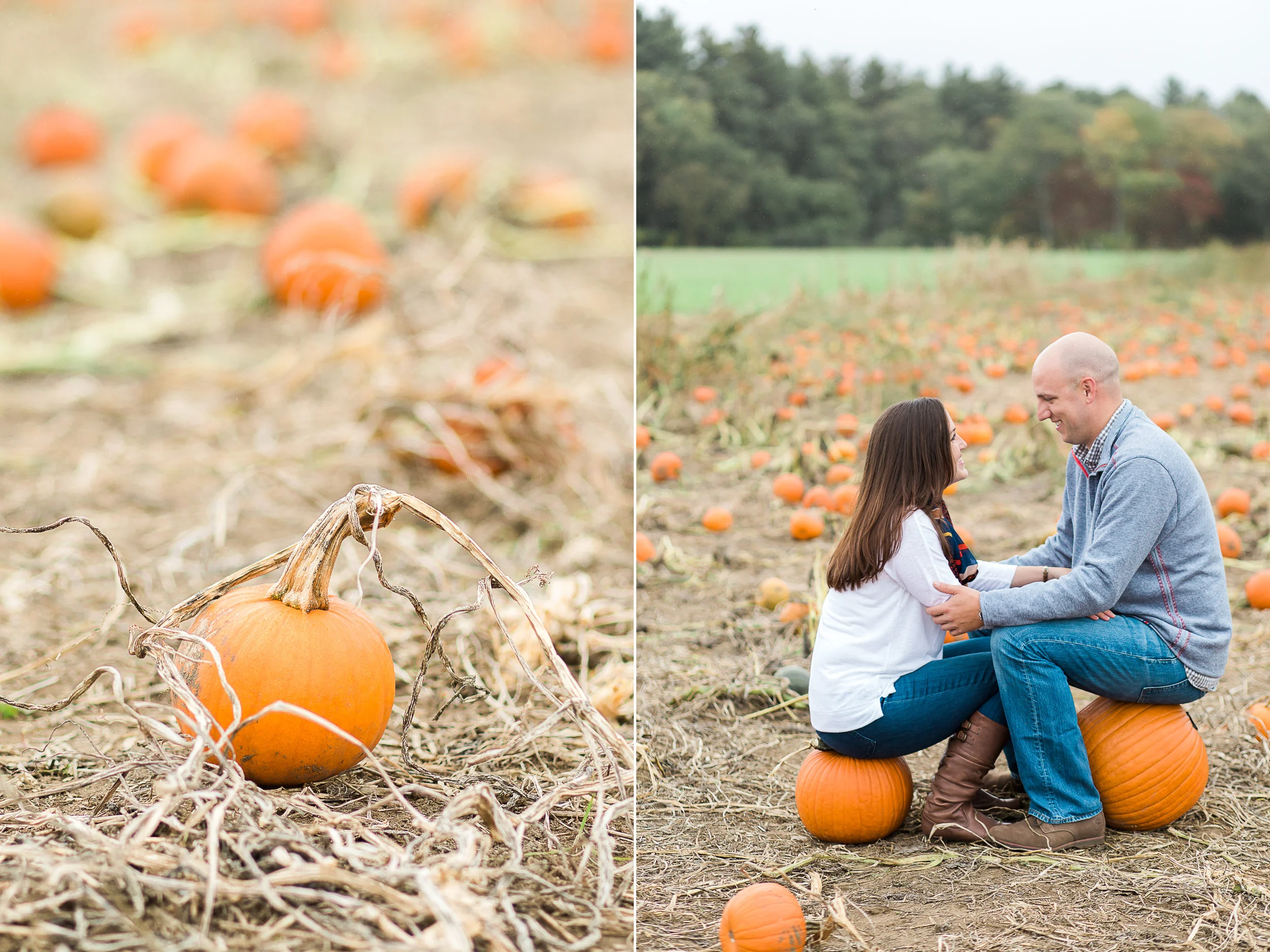 Ward's Berry Farm Fall Engagement Session | Boston Engagement Photographer
