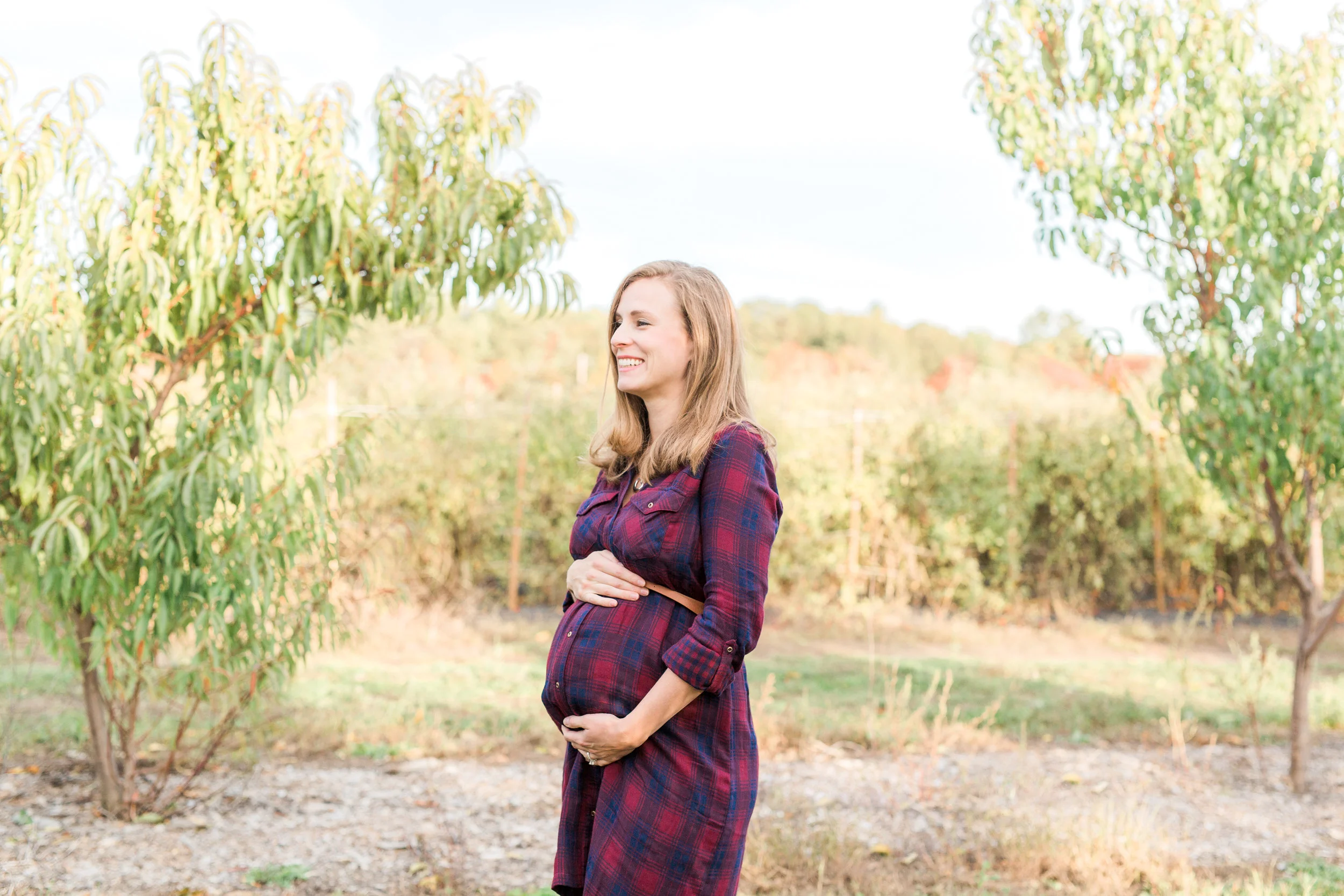 Ward's Berry Farm Maternity Session | Boston Lifestyle Photographer