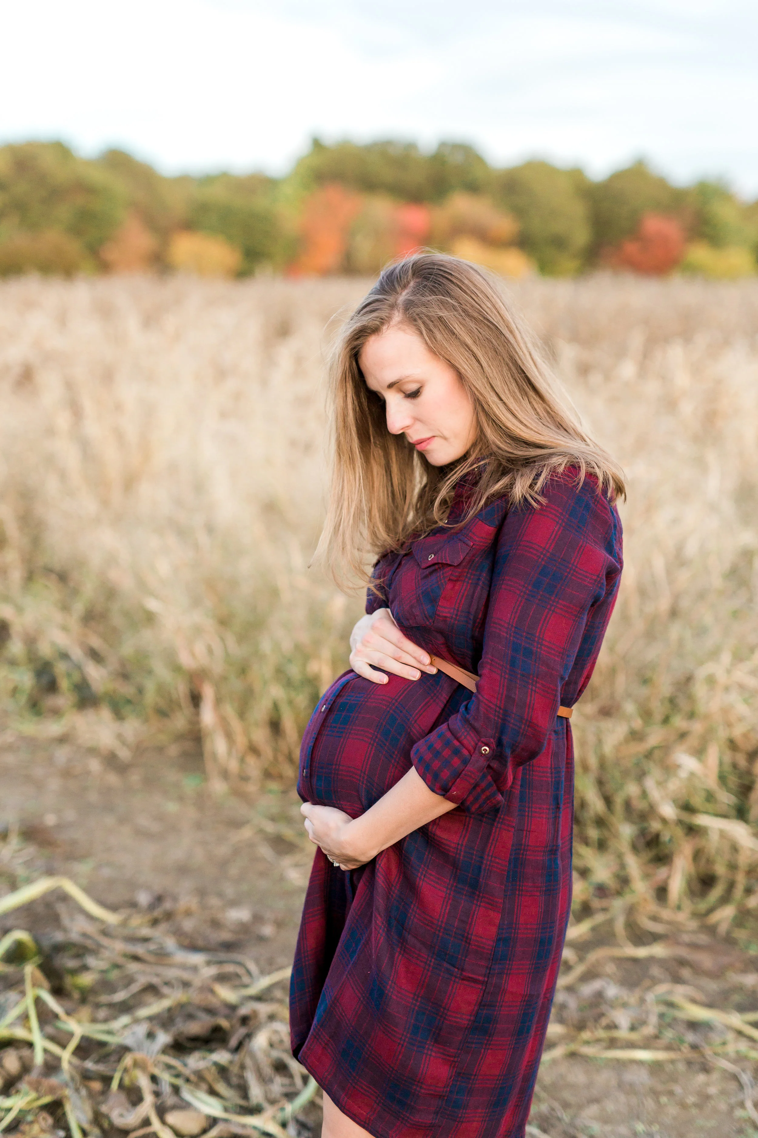 Ward's Berry Farm Maternity Session | Boston Lifestyle Photographer