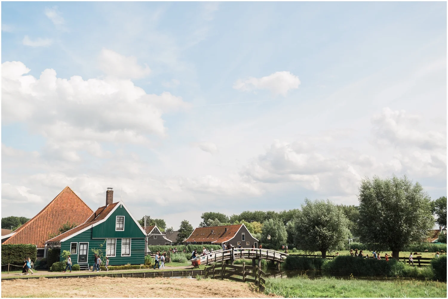 Scenic Windmill in Dutch Countryside