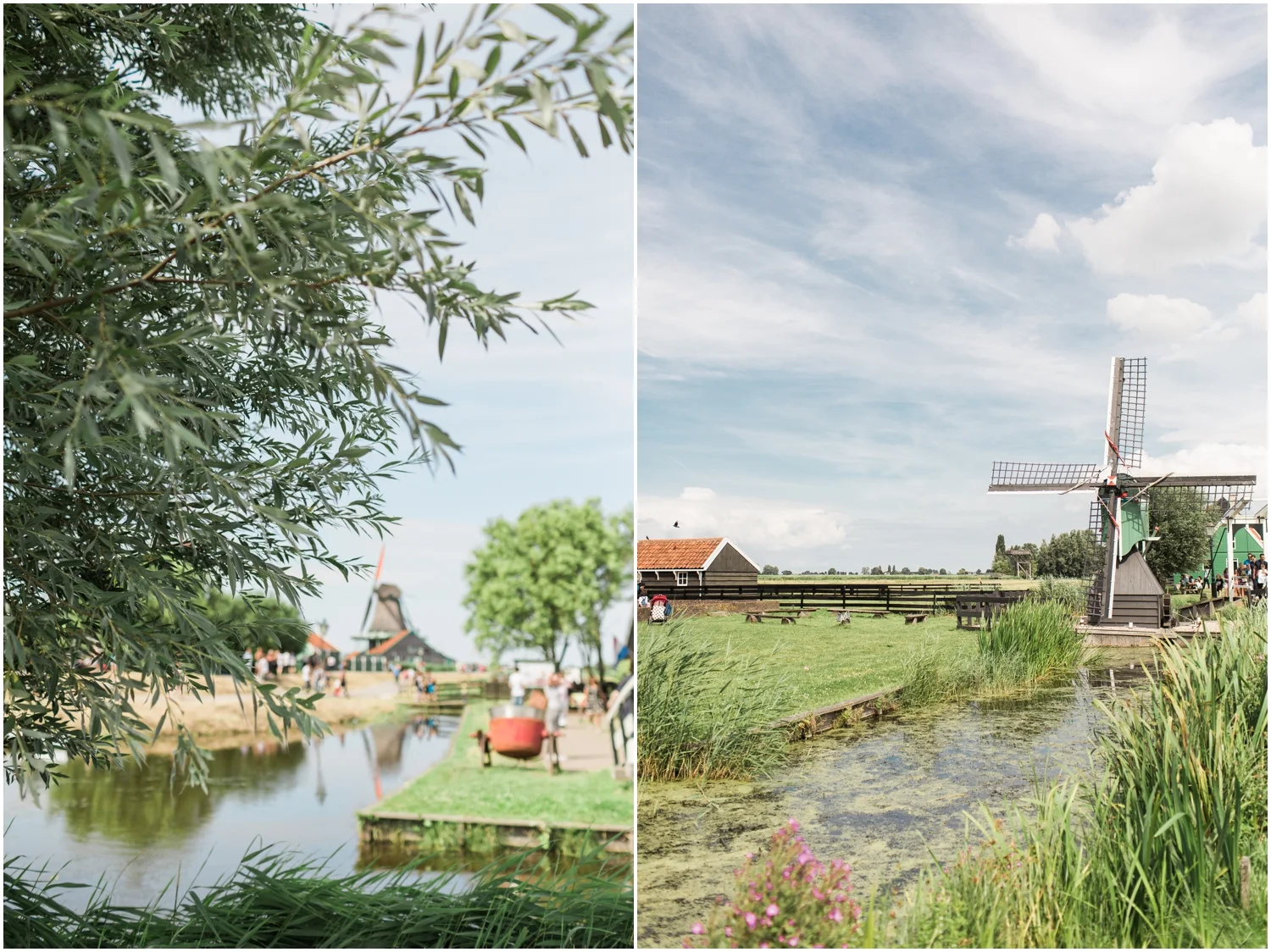 Scenic Windmill in Dutch Countryside