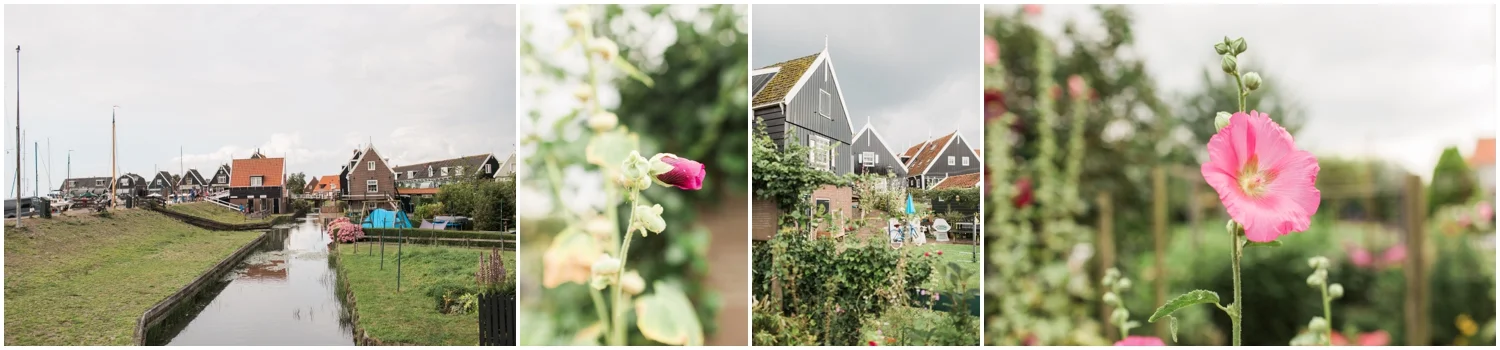 Dutch Countryside