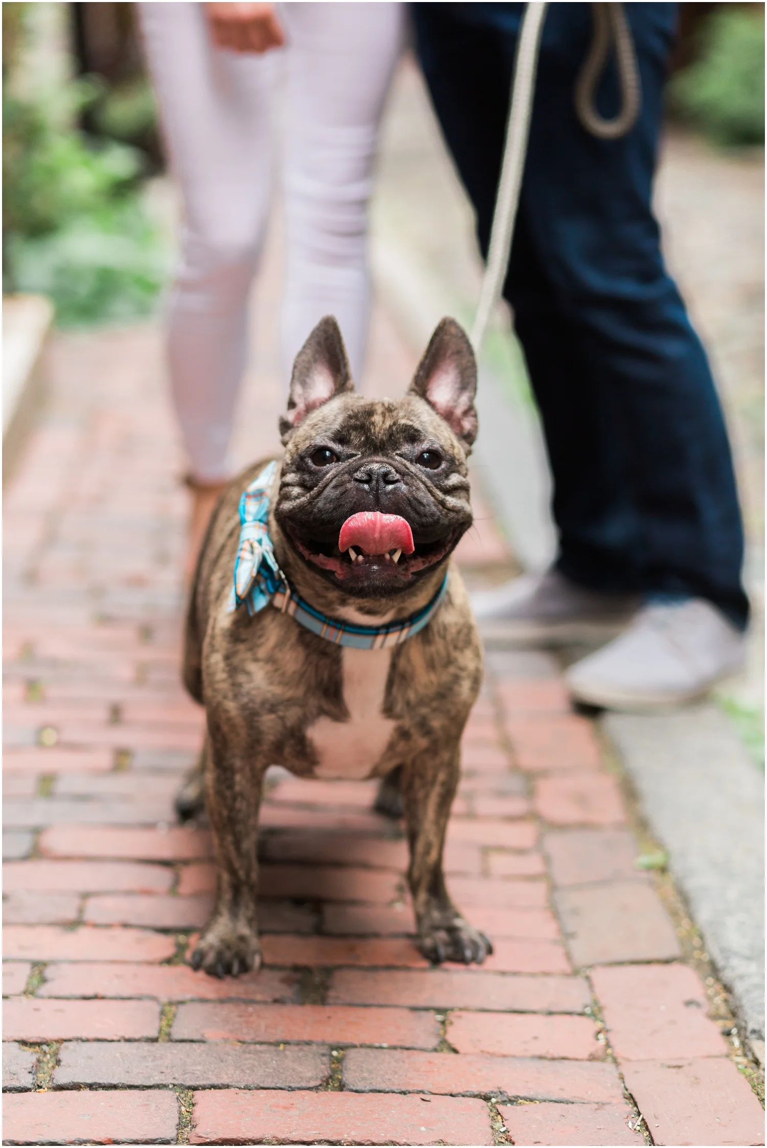 Beacon Hill Engagement Session
