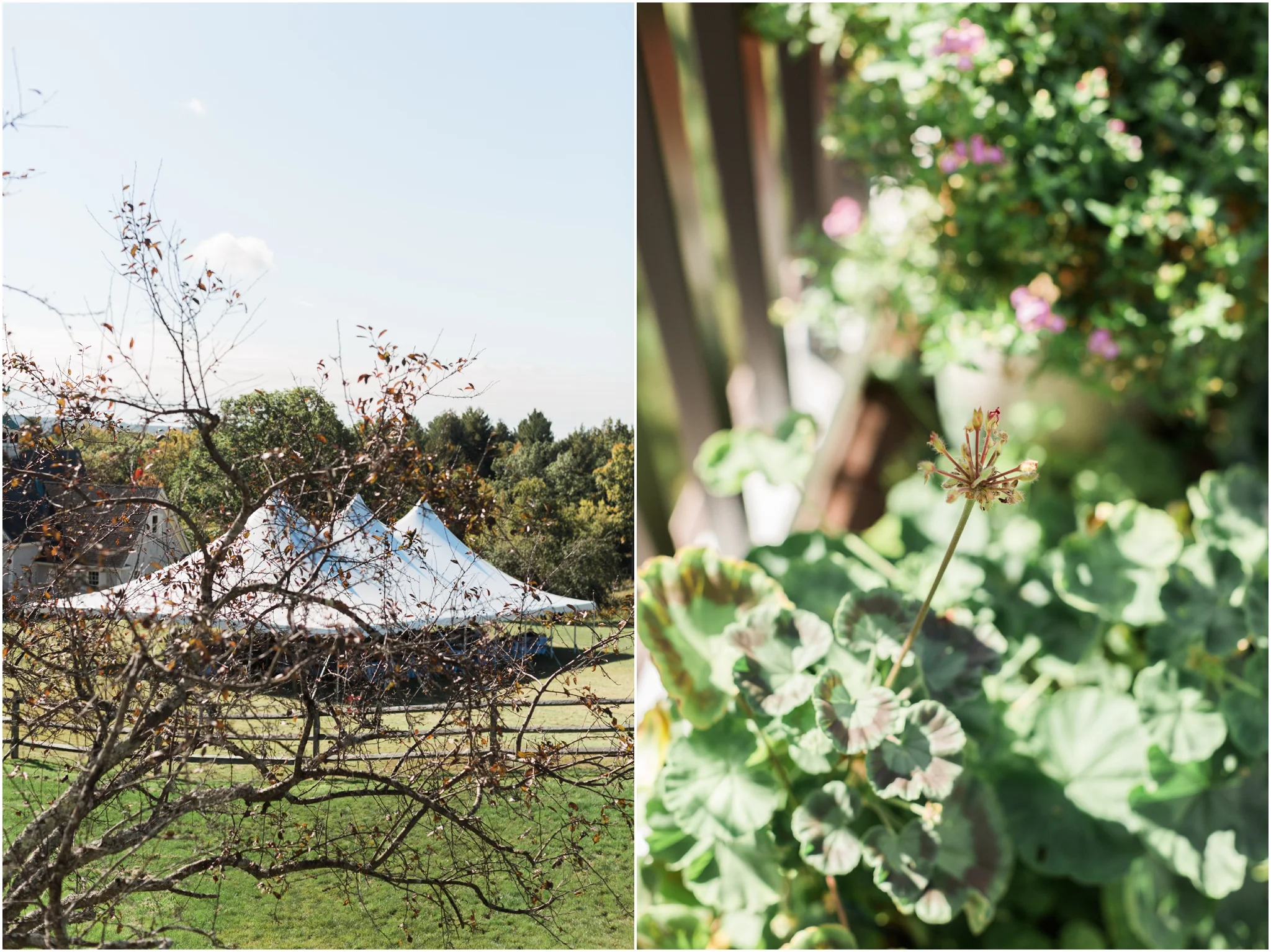 New Hampshire Backyard Wedding