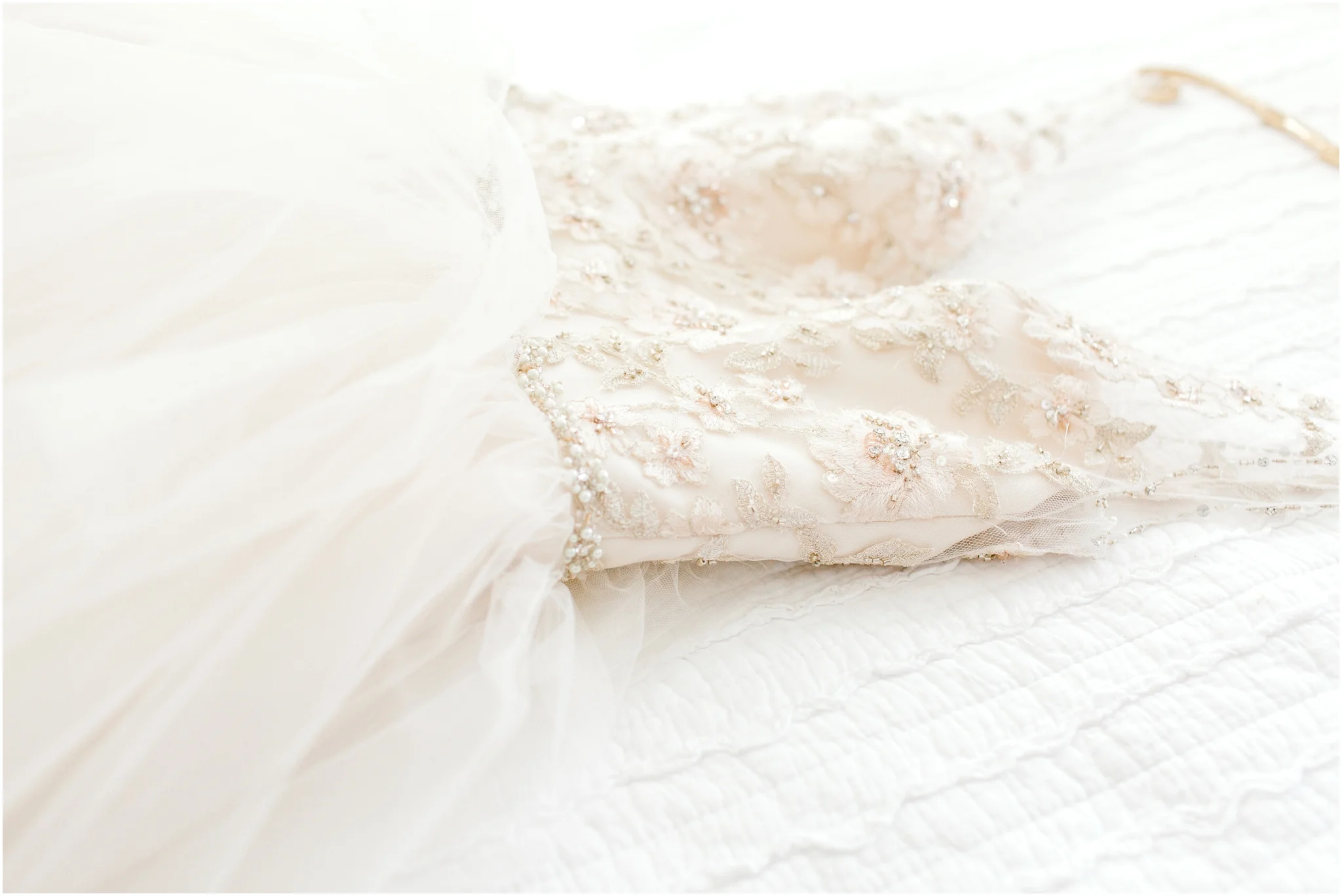 Coastal Maine Wedding