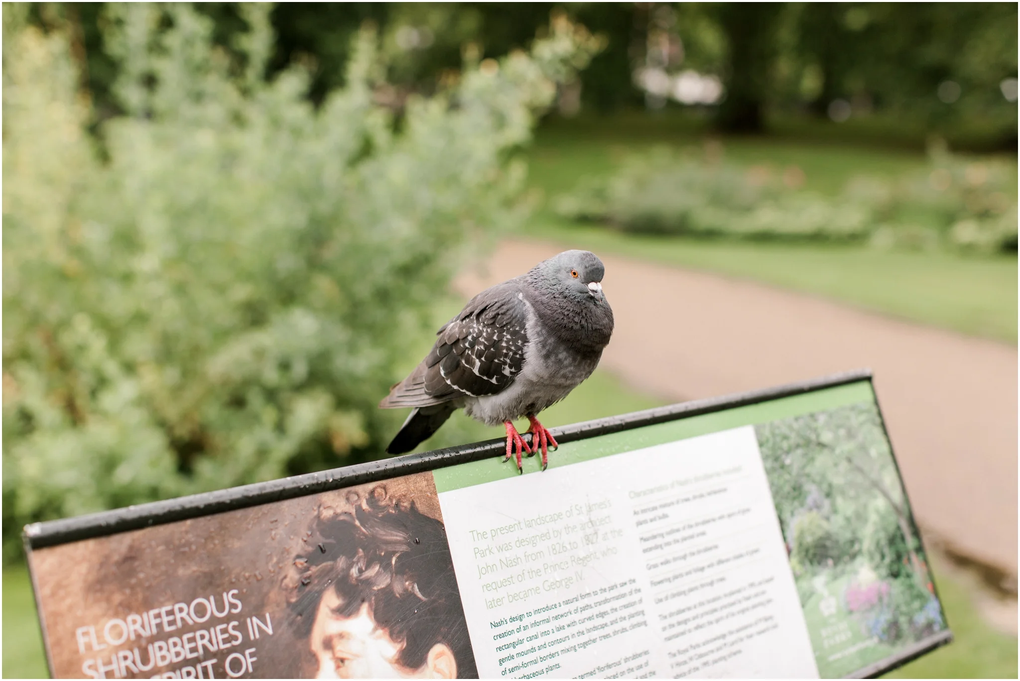 St. James Park