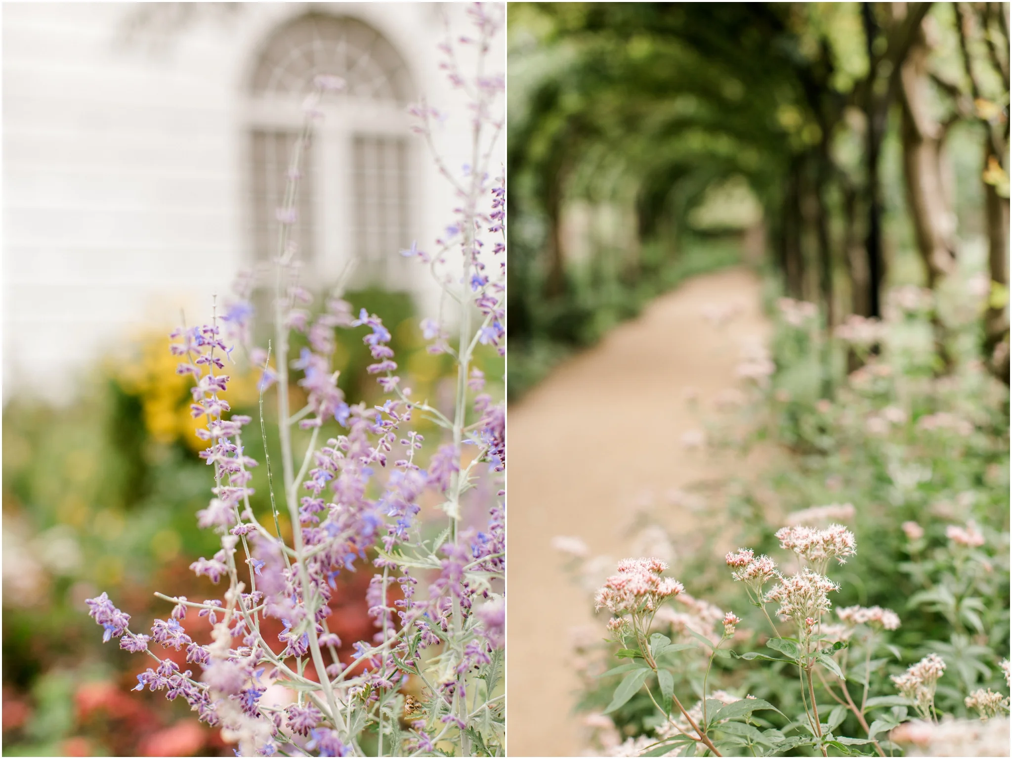 Kew Botanical Gardens London