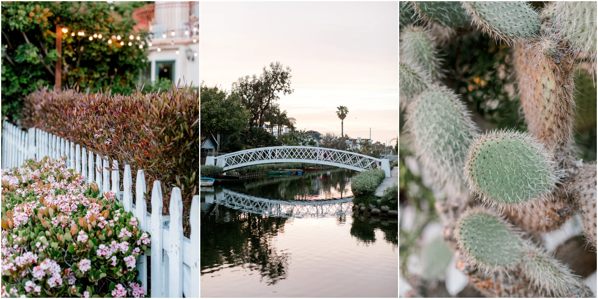 Los Angeles California Wanderlust