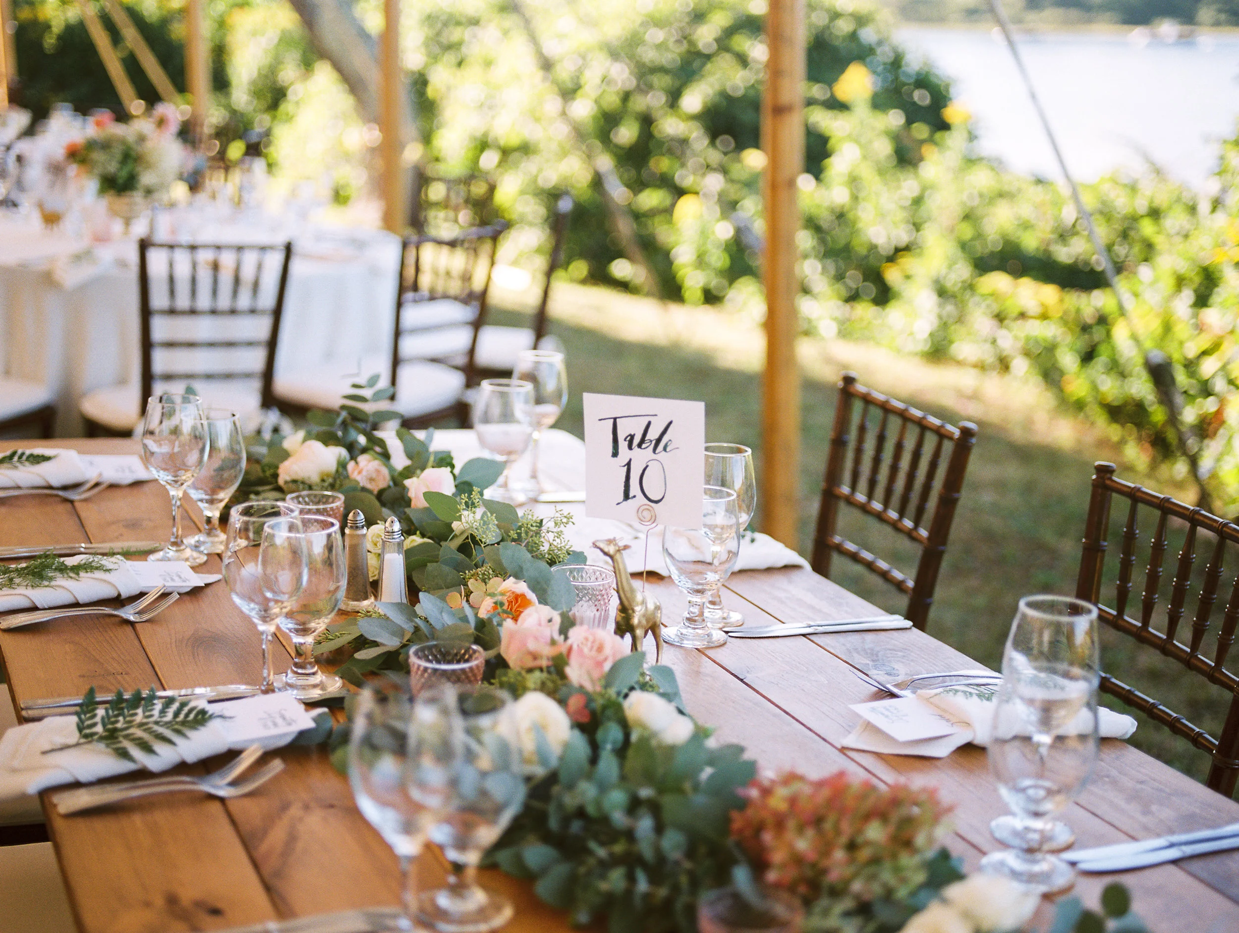Backyard+Tented+Cape+Wedding-48.jpg