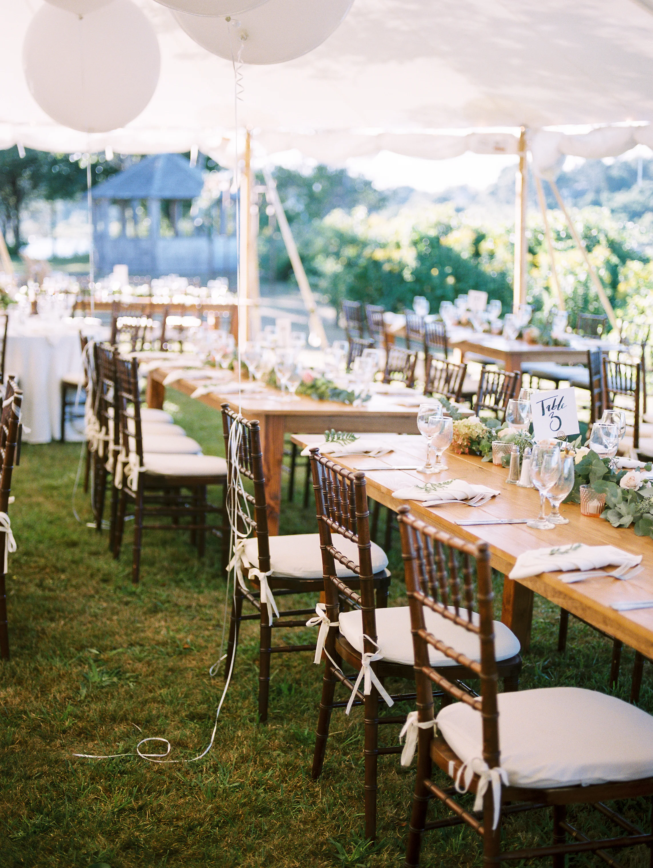 Backyard+Tented+Cape+Wedding-50.jpg
