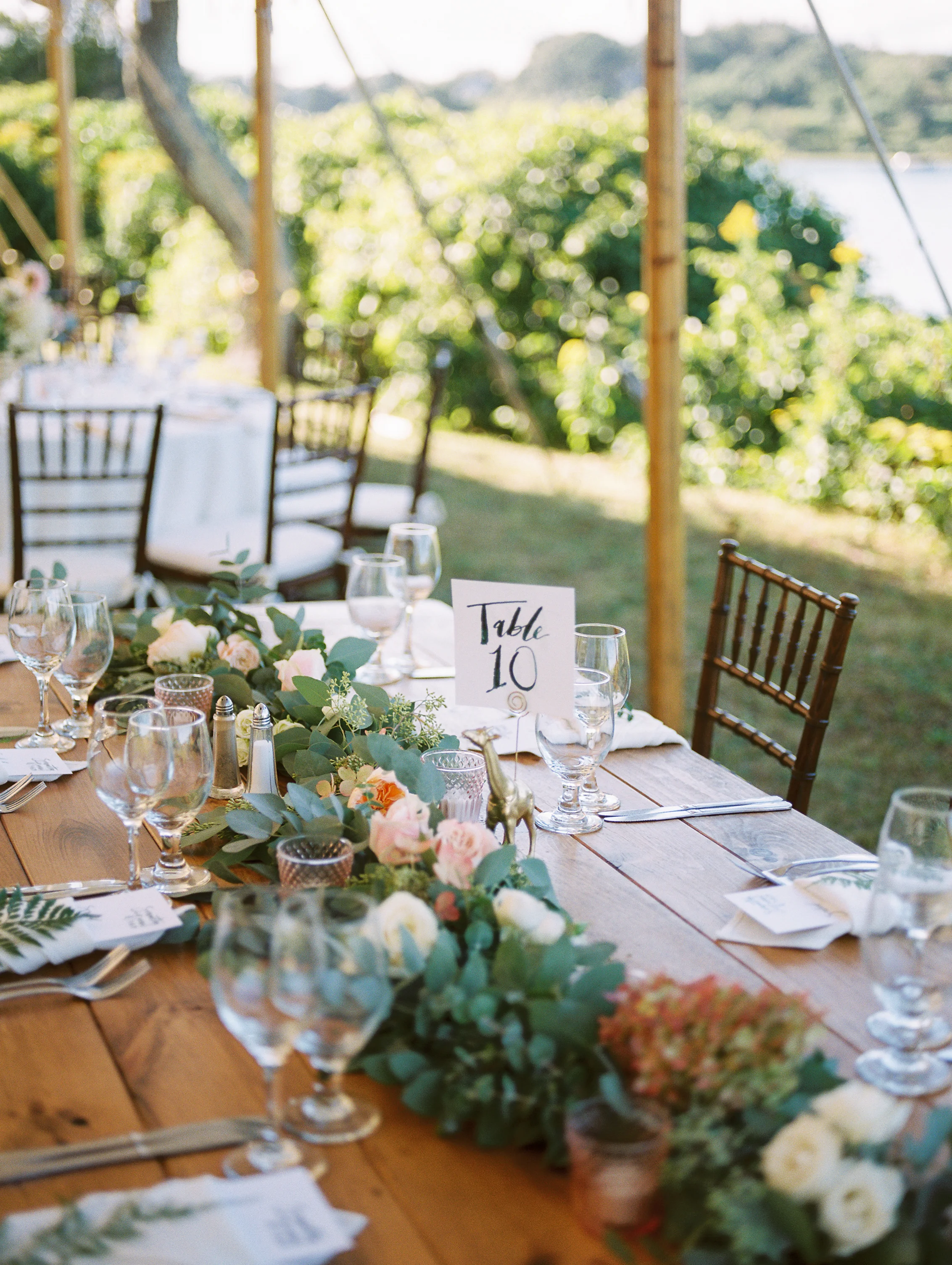 Backyard+Tented+Cape+Wedding-52.jpg
