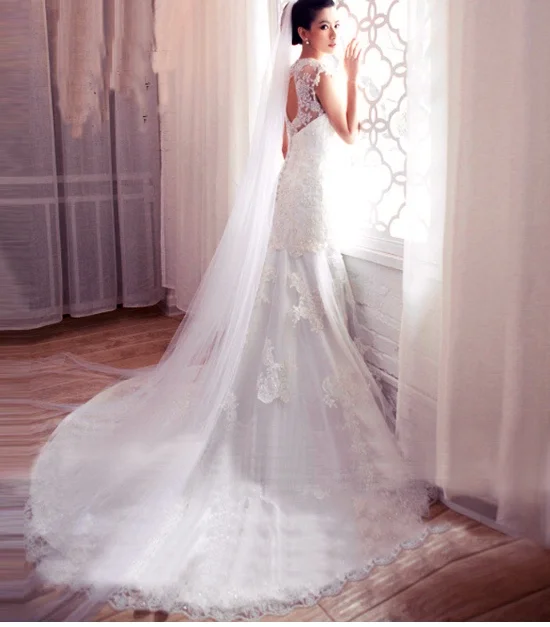  When choosing a veil for your gown, choose one that doesn't compete with your dress. This dress has satin, lace, crystal beading. So, a simple one layer tulle veil is perfect.&nbsp; 