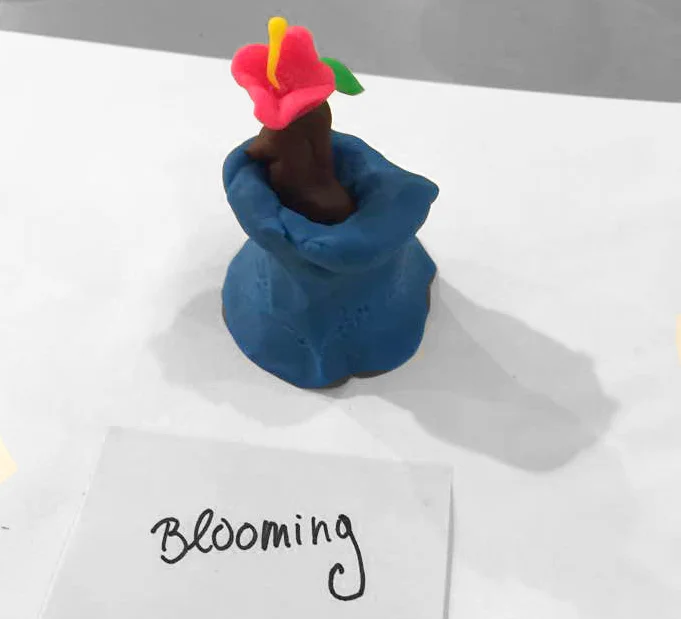blooming.jpg