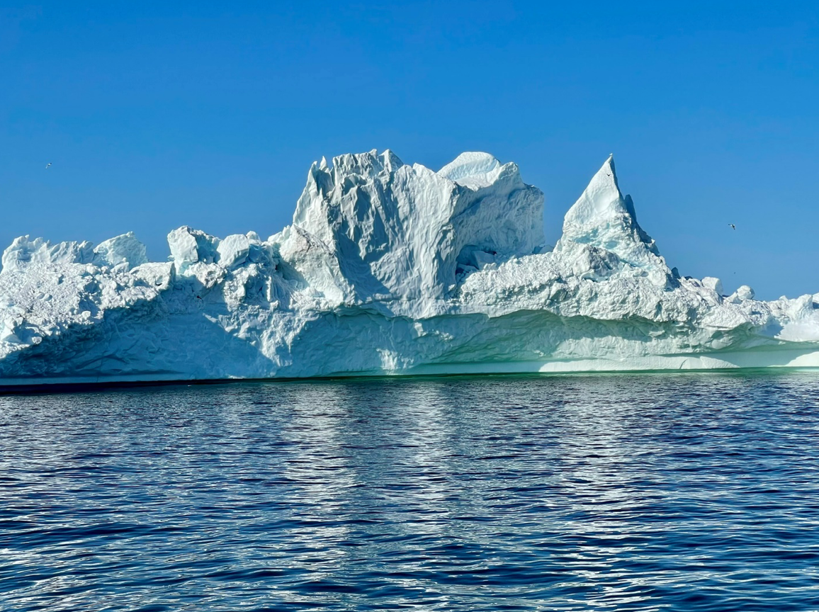 Screenshot 2026-01-17 at 11.43.04.png