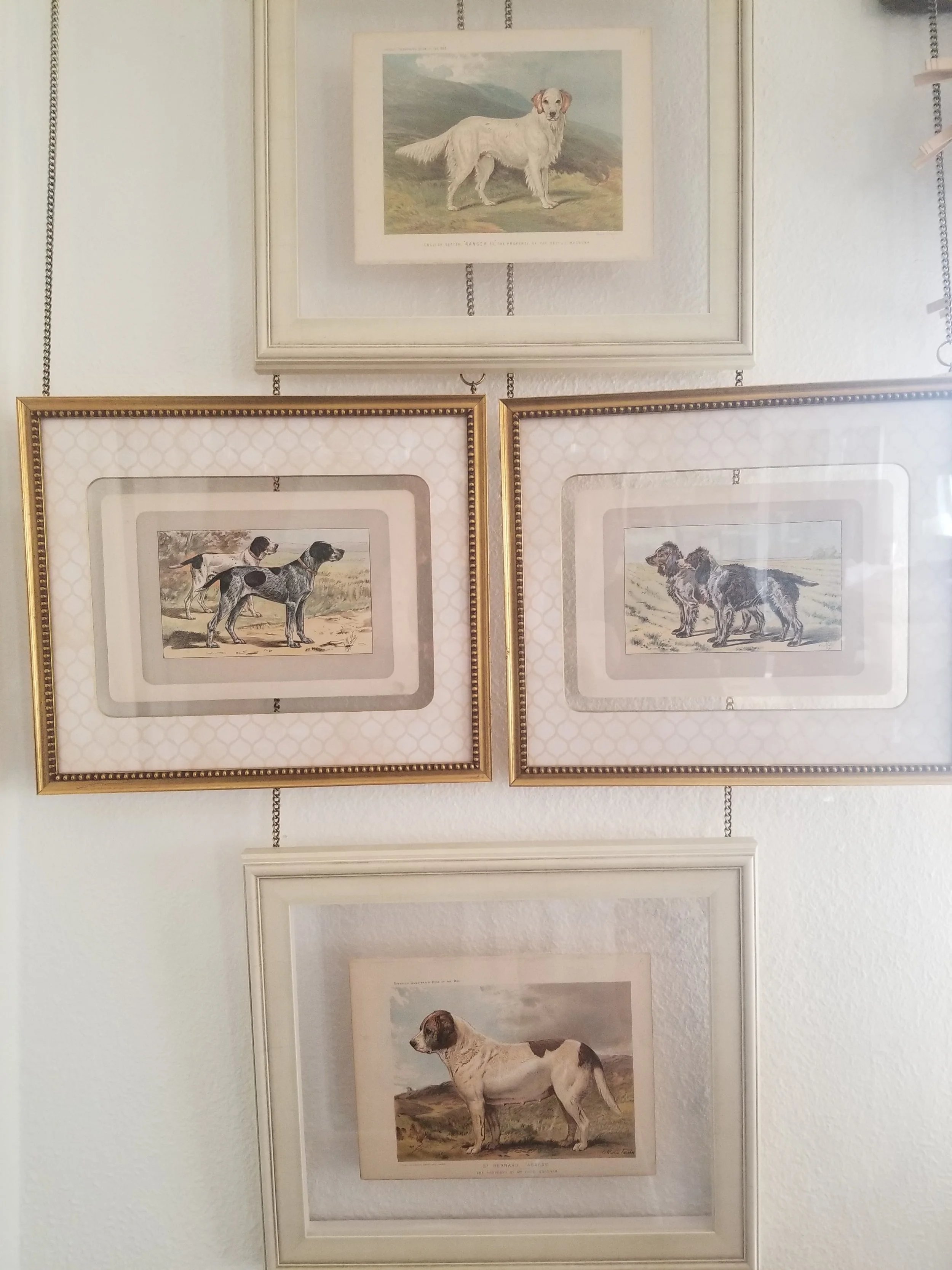 Dogs Group 3-min.jpg