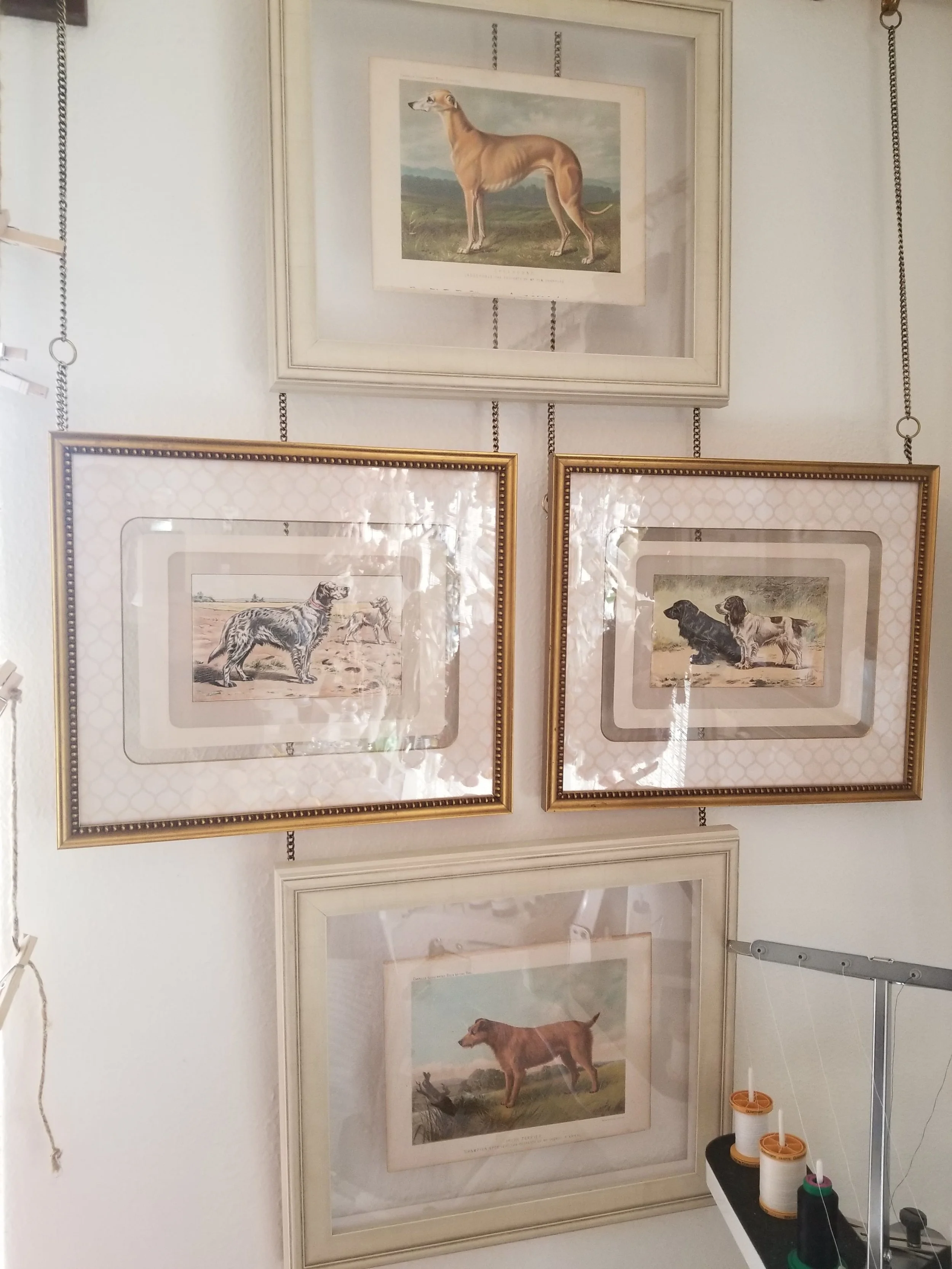 Dogs Group 2-min.jpg