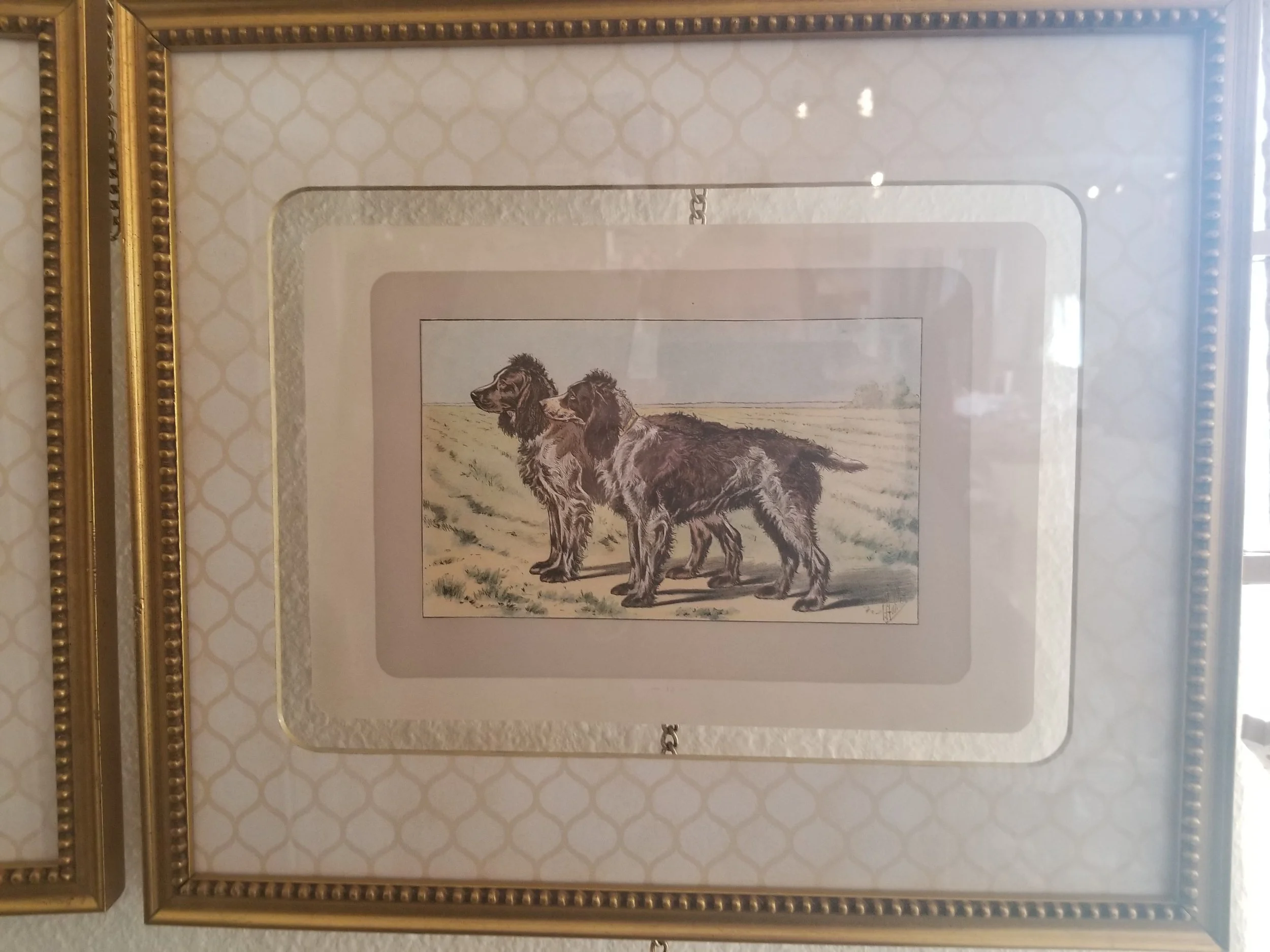 Mahler English Setter Pointer-min.jpg