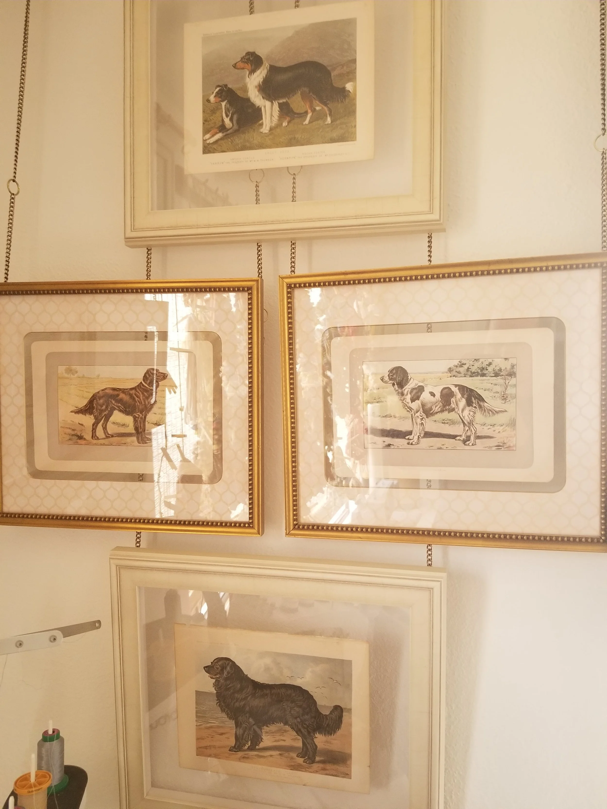 Dogs Group 1-min.jpg