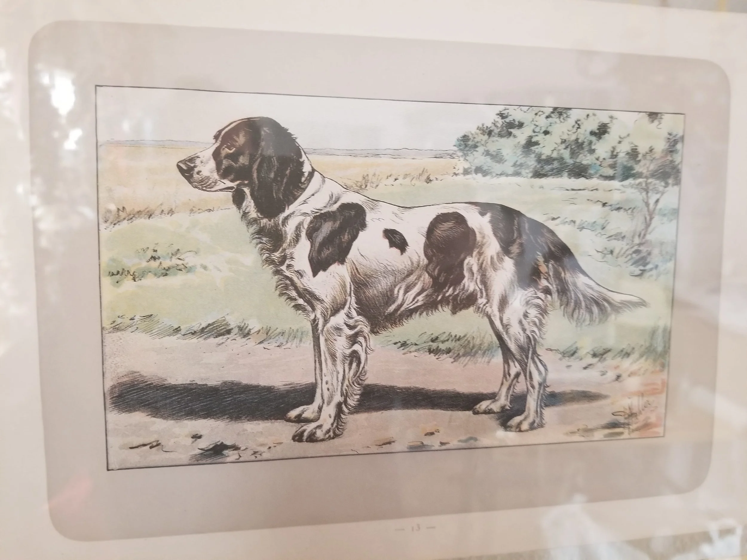Mahler French Spaniel-min.jpg