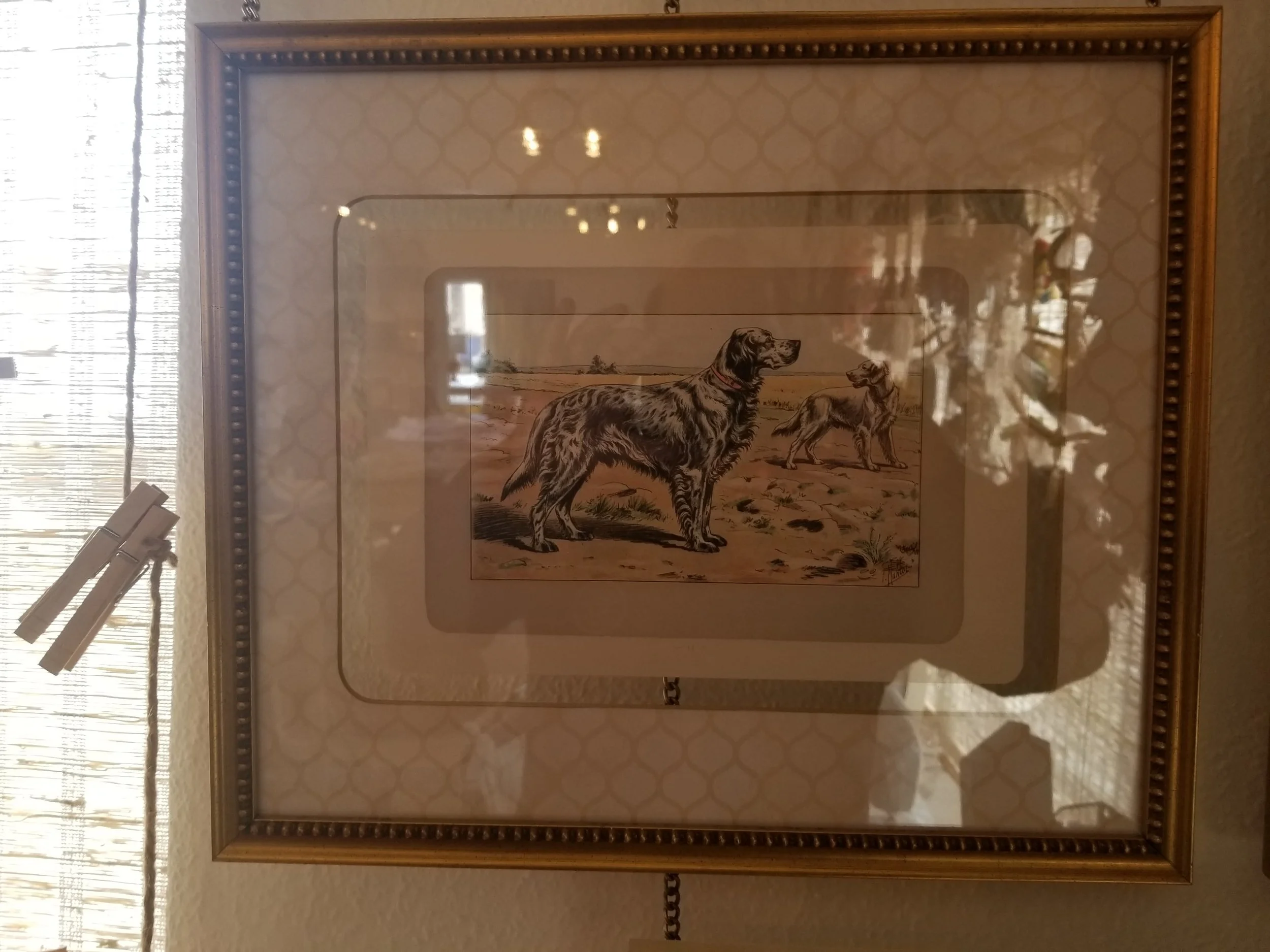 Mahler English Setter-min.jpg