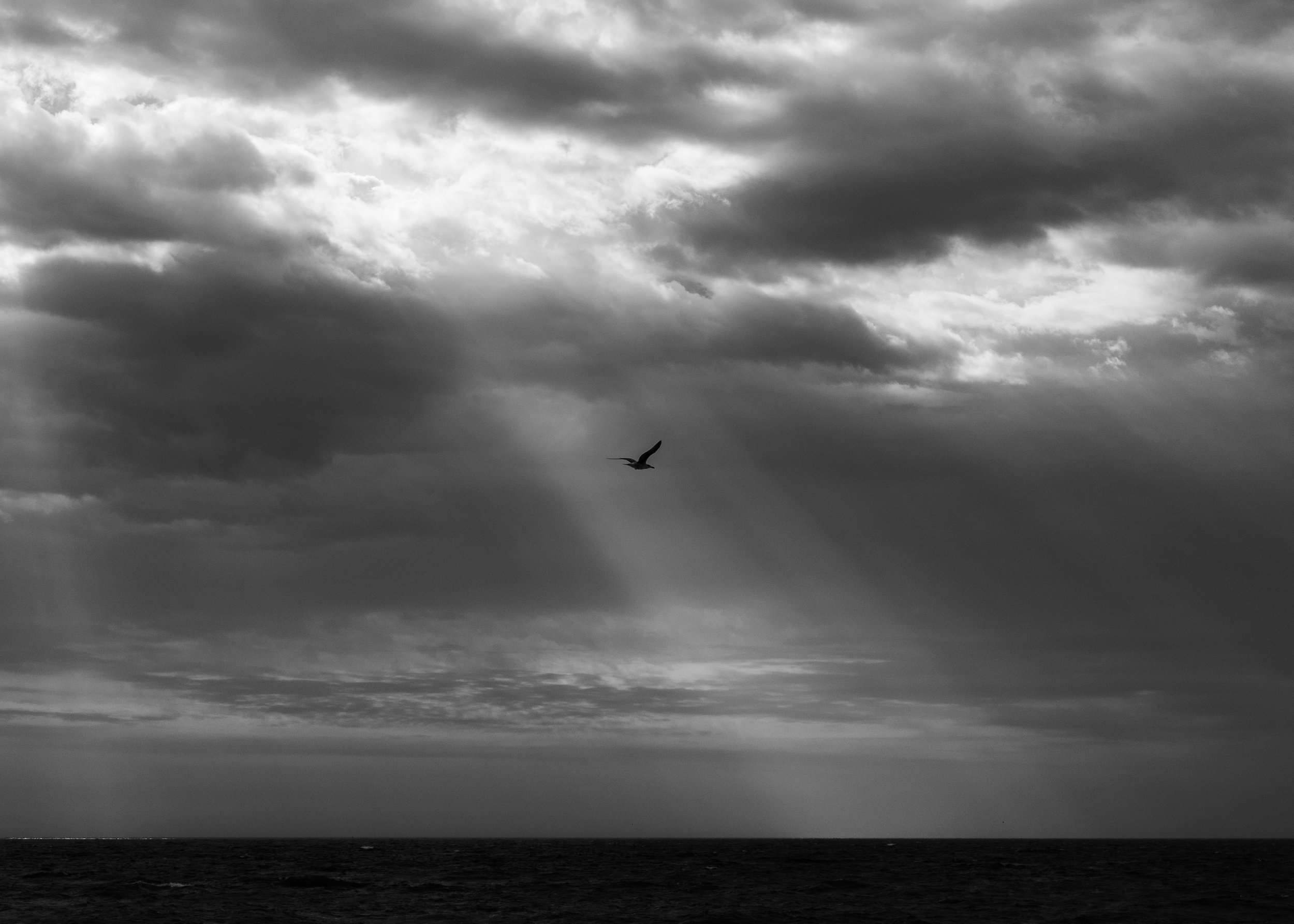 IMG_5604.jpg