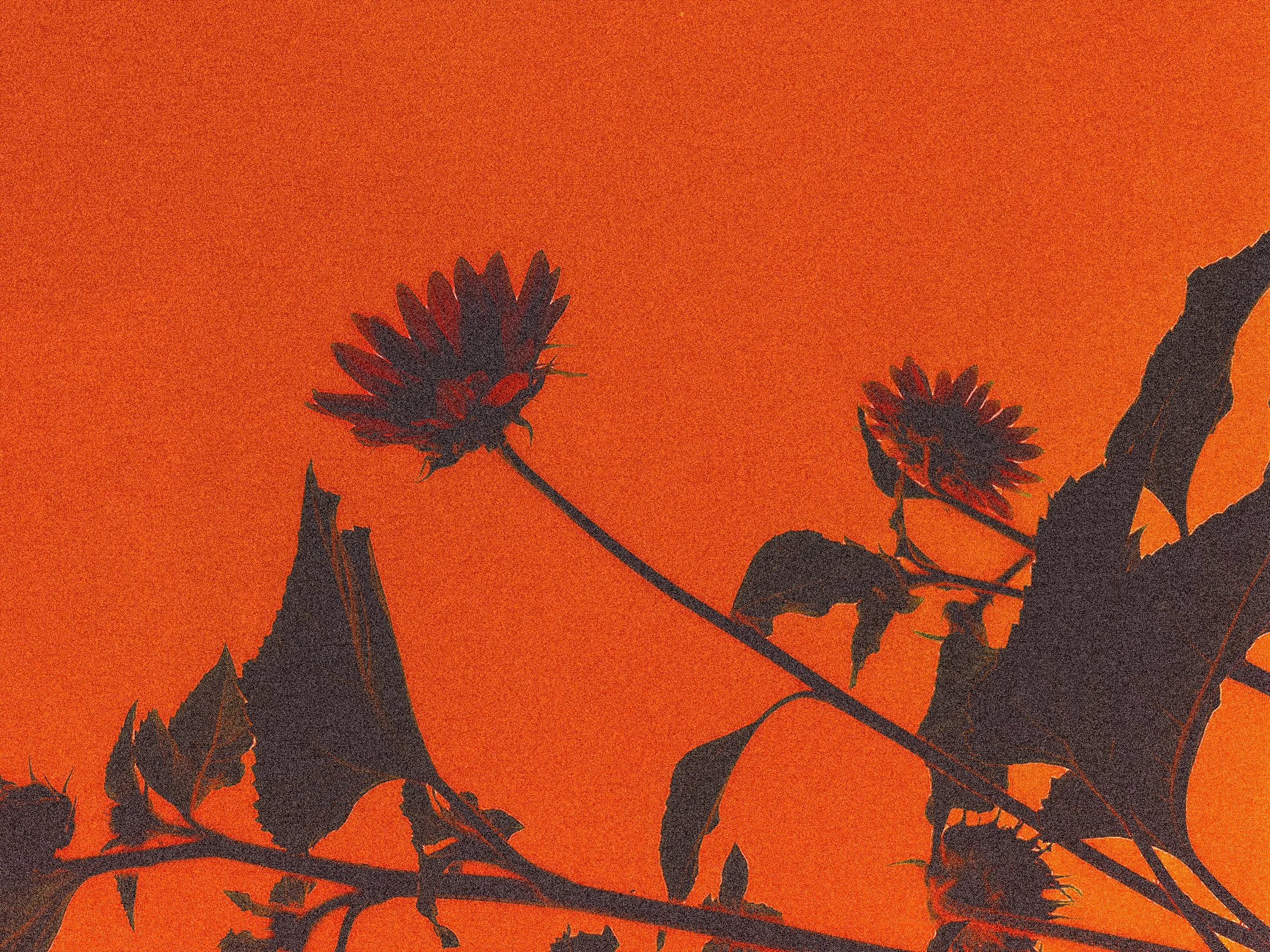 Under Construction_Background.jpg