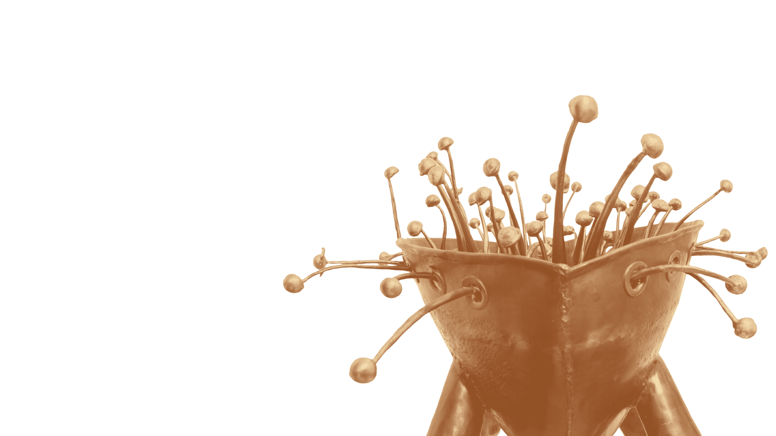 Website Image_Landscape copy.png