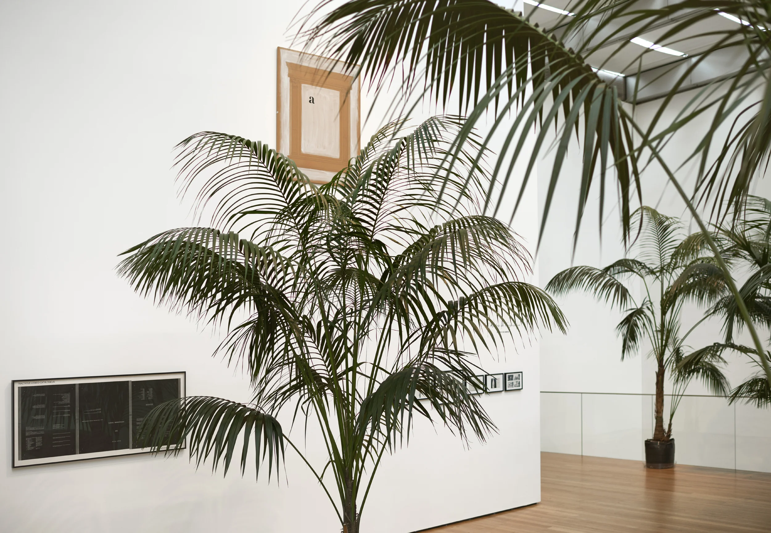 Installation view of Marcel Broodthaers: A Retrospective. The Museum of Modern Art, New York, February 14–May 15, 2016. © 2016 The Museum of Modern Art. Photo: Martin Seck