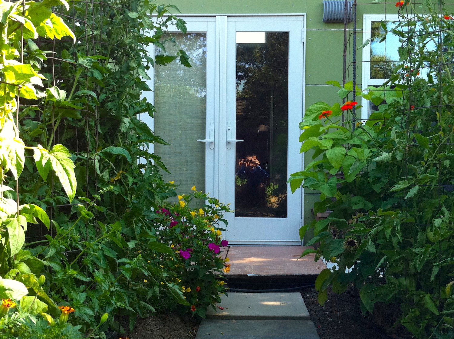 Garden & Studio