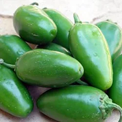 numex-jalmundo-250.jpg
