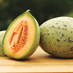 Crane Melon-250.jpeg
