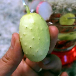 North Carolina Heirloom Pickling-25-.jpg