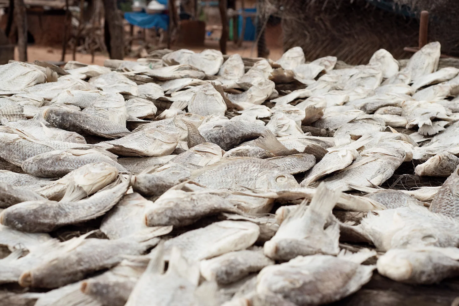 Ghana_DSC_2785-Edit_final.jpg
