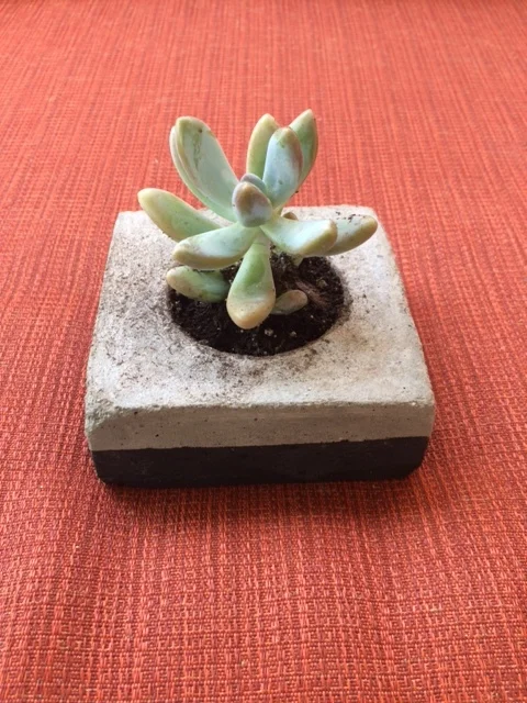 Handmade cement planters