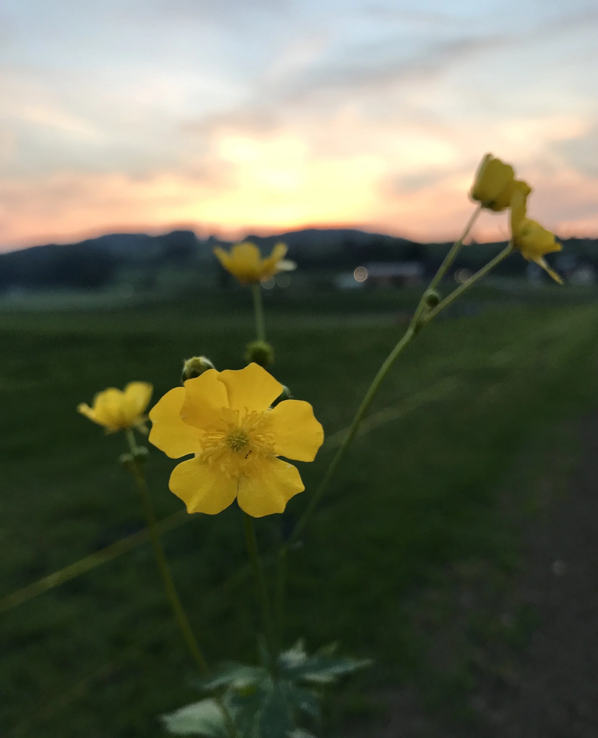 The end of the day, Wuppenau, Switzerland. 