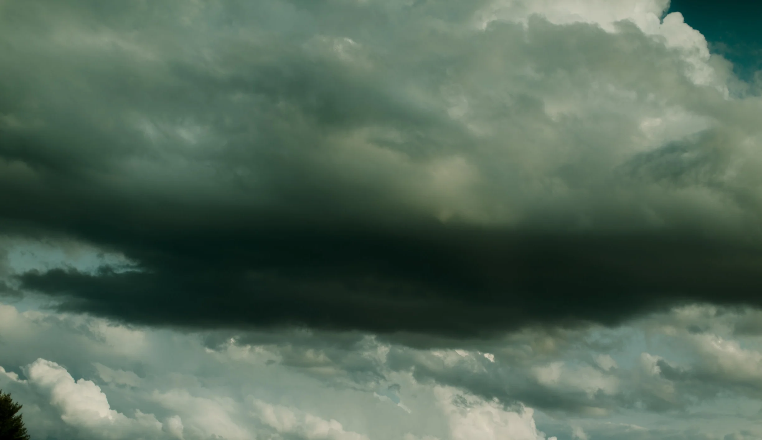 AbigailLauren_ (97 of 2).jpg