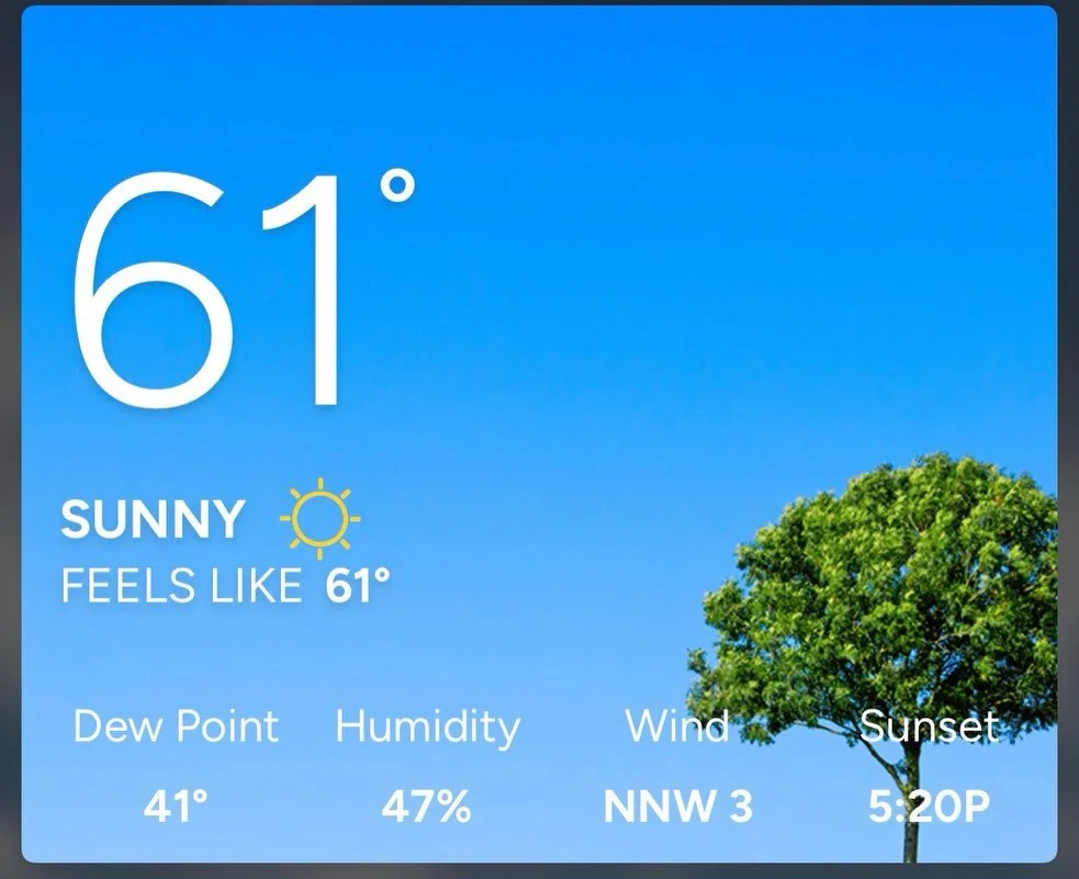 I escaped the cold of Alabama and found paradise for my run this morning. Be shout out to the San Diego Track Club for having a water stand on my route. #running #unsandiego #sandiegotrackclub