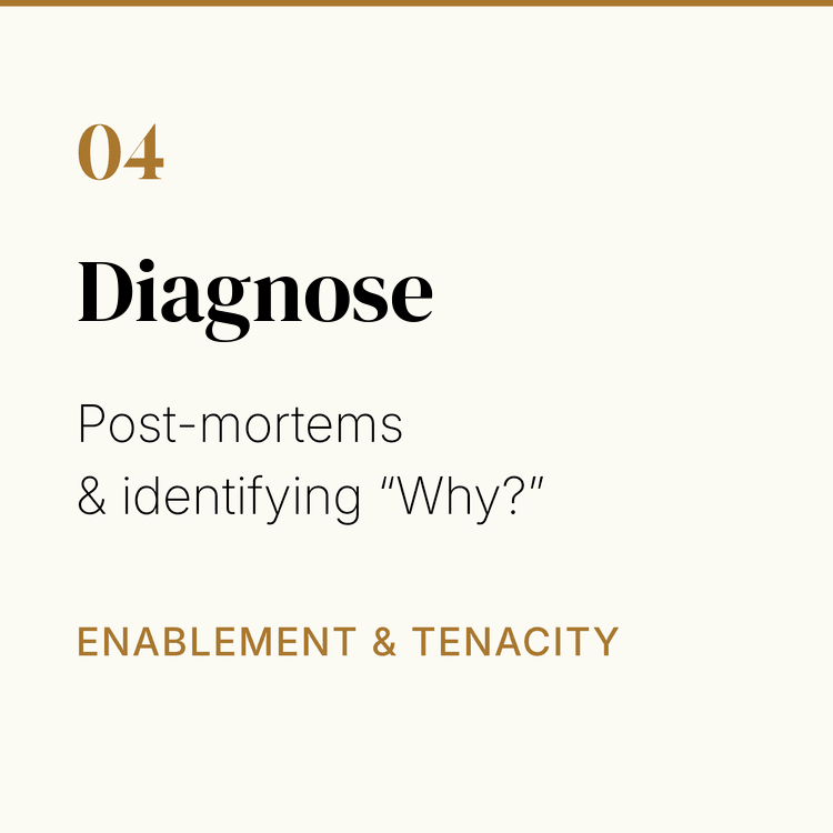 04-diagnose.png