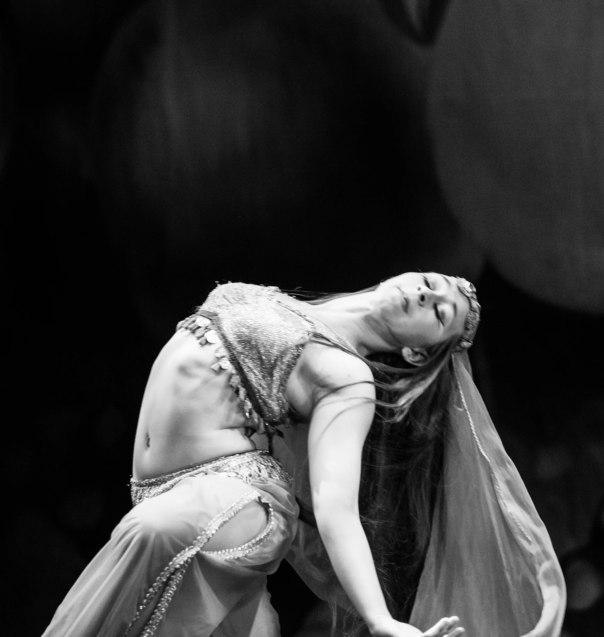 SC-Arabian-nutcracker-2015-4791.jpg