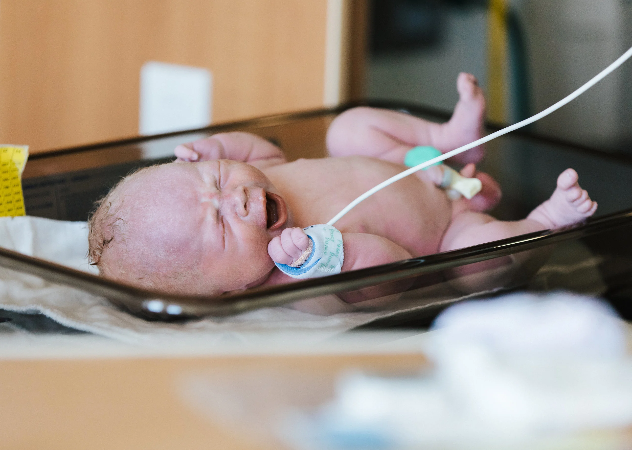 SC-bribirth-9353.jpg