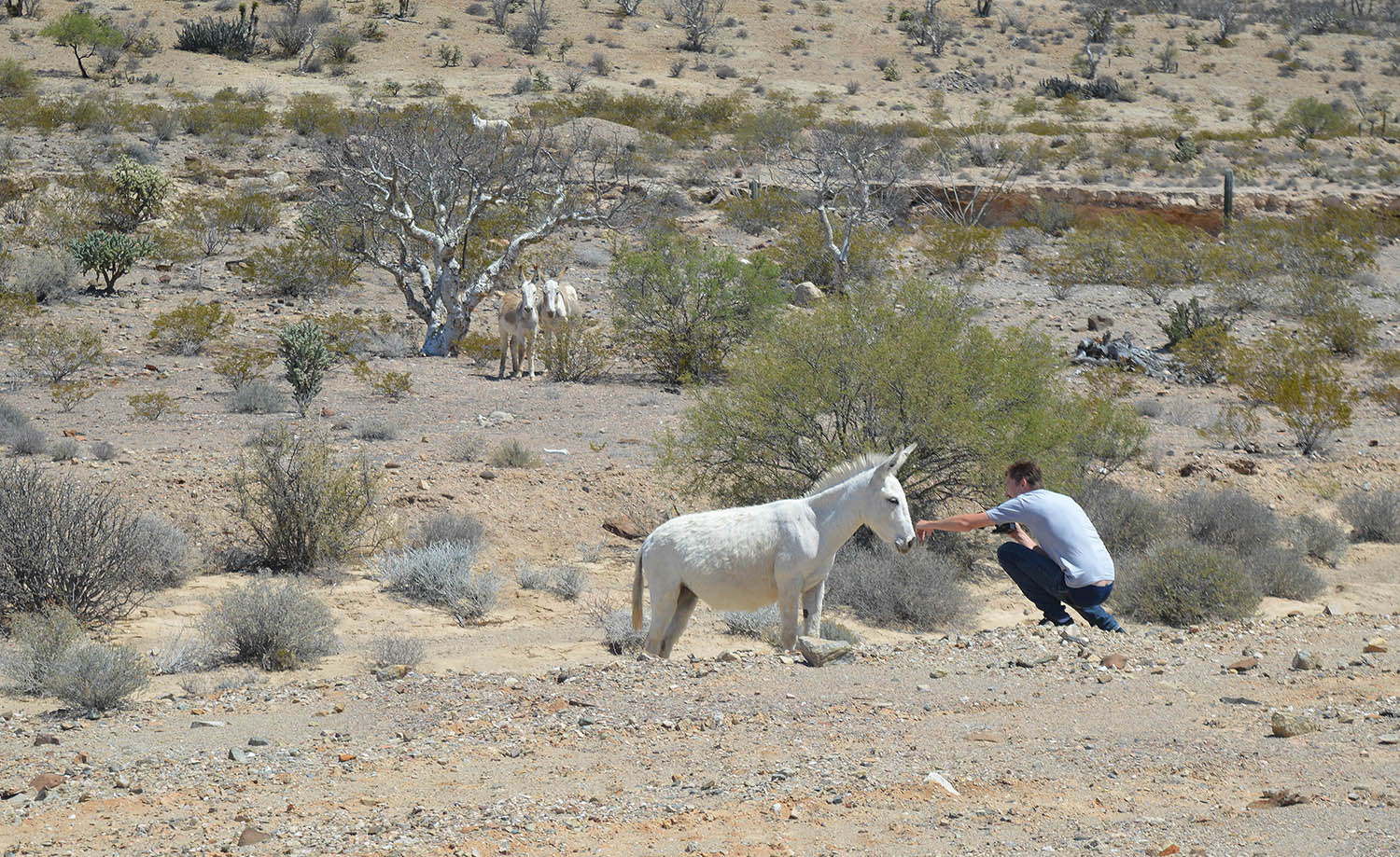 JT, director, making friends with the locals...