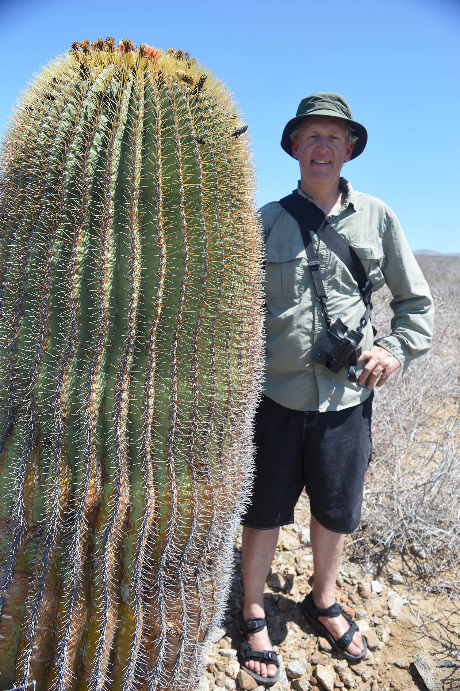 Broken Wagon Films scientific director Greg Meyer beside a biznaga gigantesca, Isla Cerralvo .