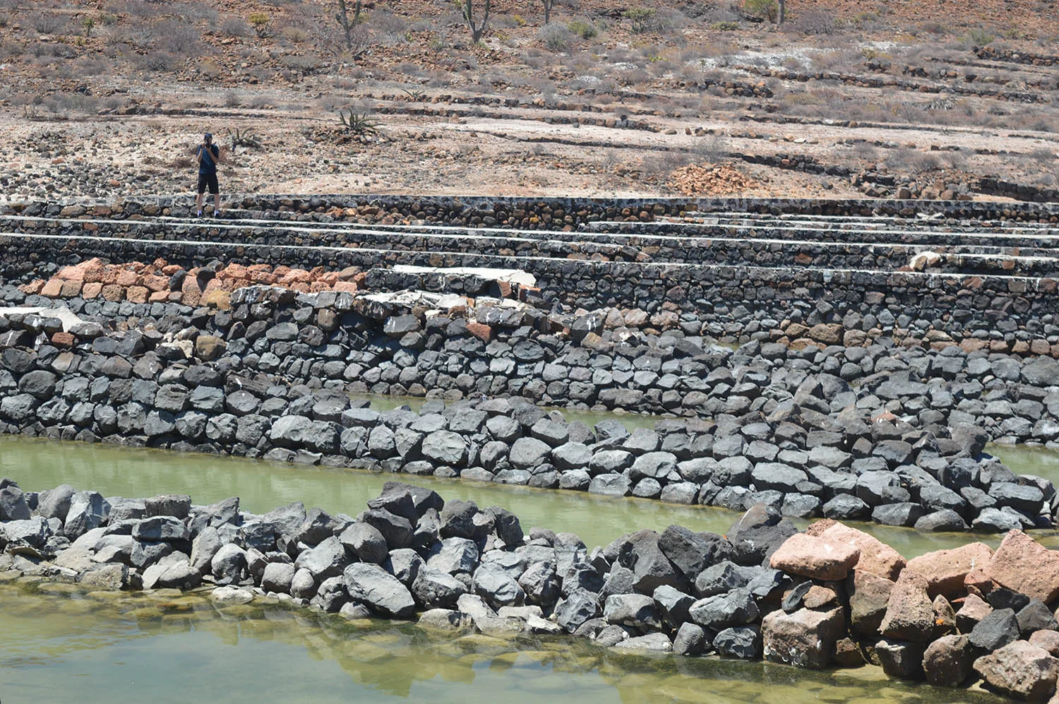 Pearl oyster beds on Isla Espiritu Santo in surprisingly good shape for being over 100 years old.