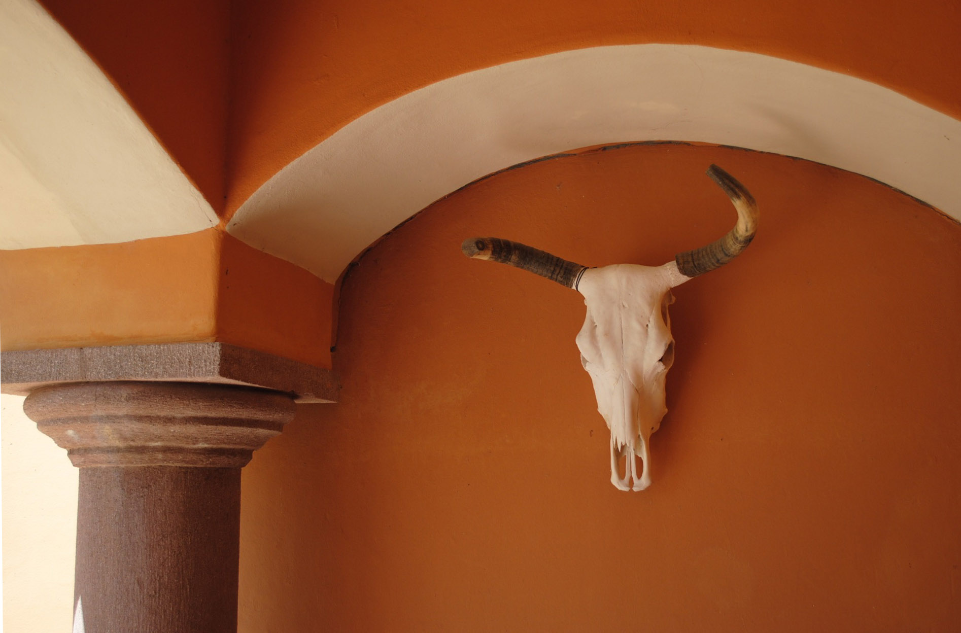 Steer skull on the entryway.