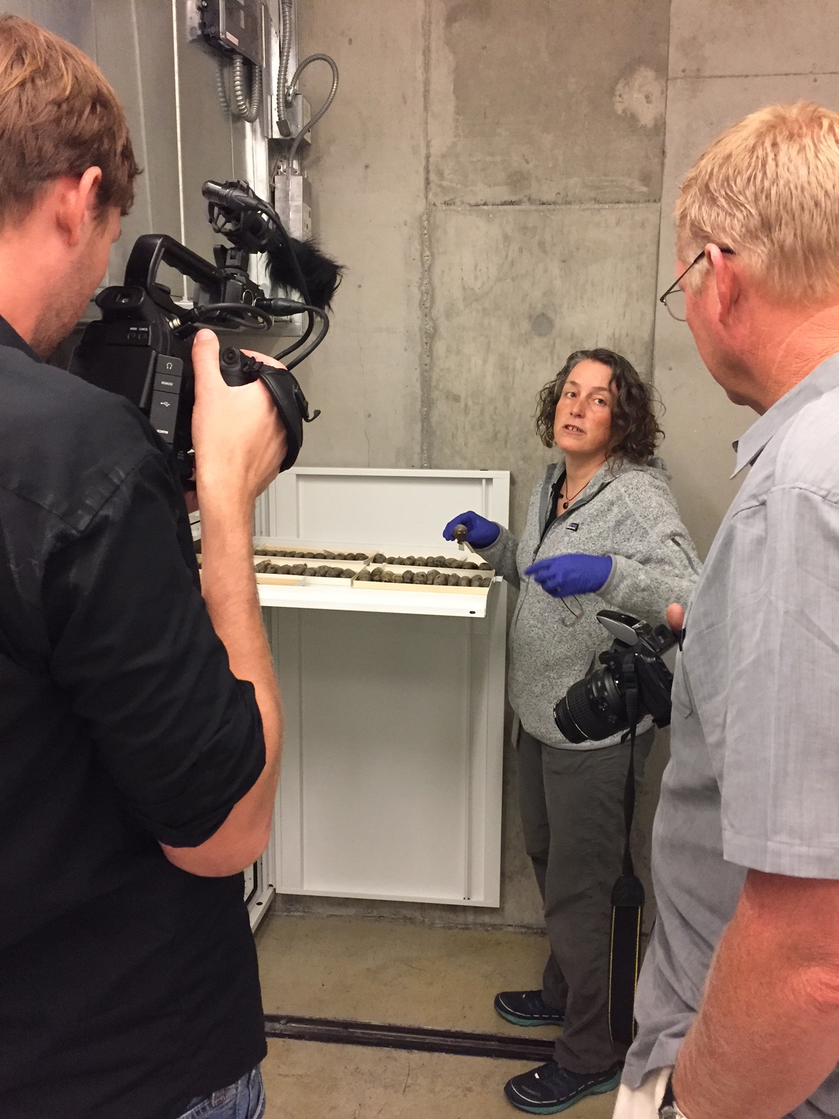 Maureen "More" Flannery, collections manager at the California Academy of Sciences, shows us the seaside sparrow specimens.